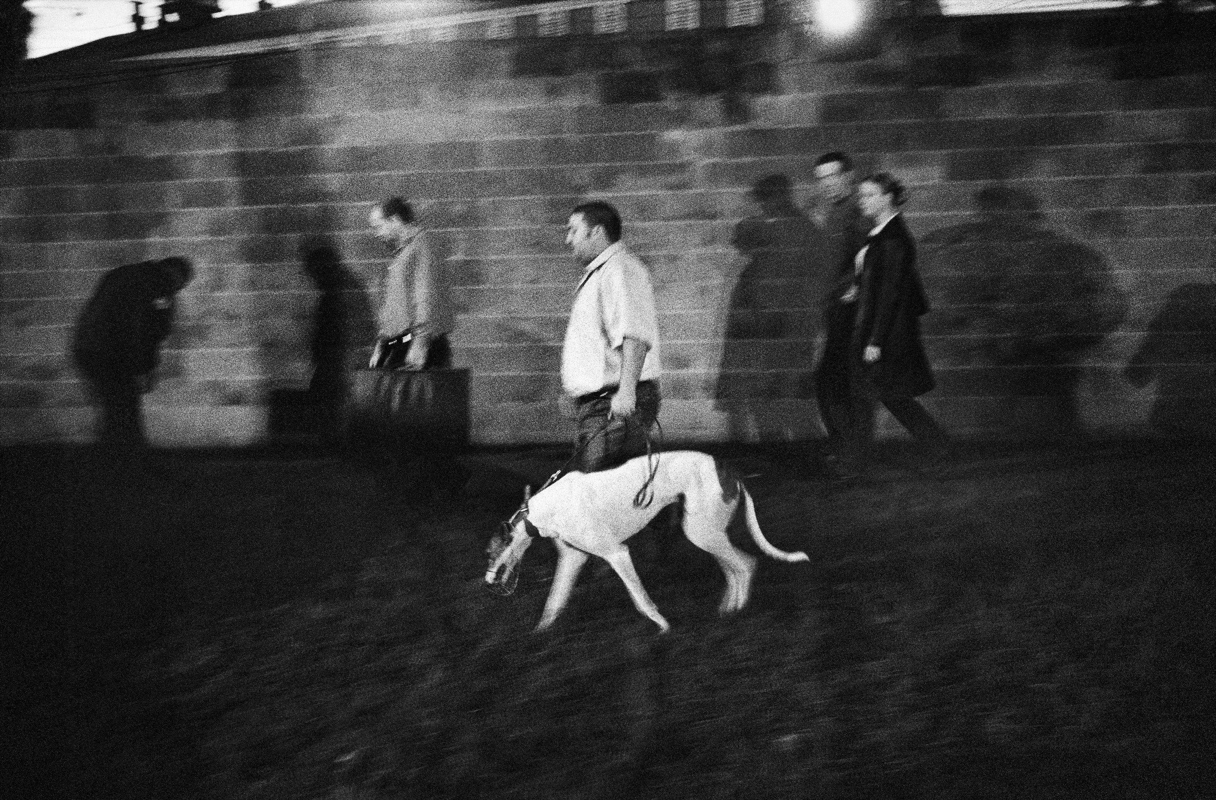 ©Stephen Dupont - Syd.AUS Wentworth Park Dogs 0305 A05 #17_Book.jpg