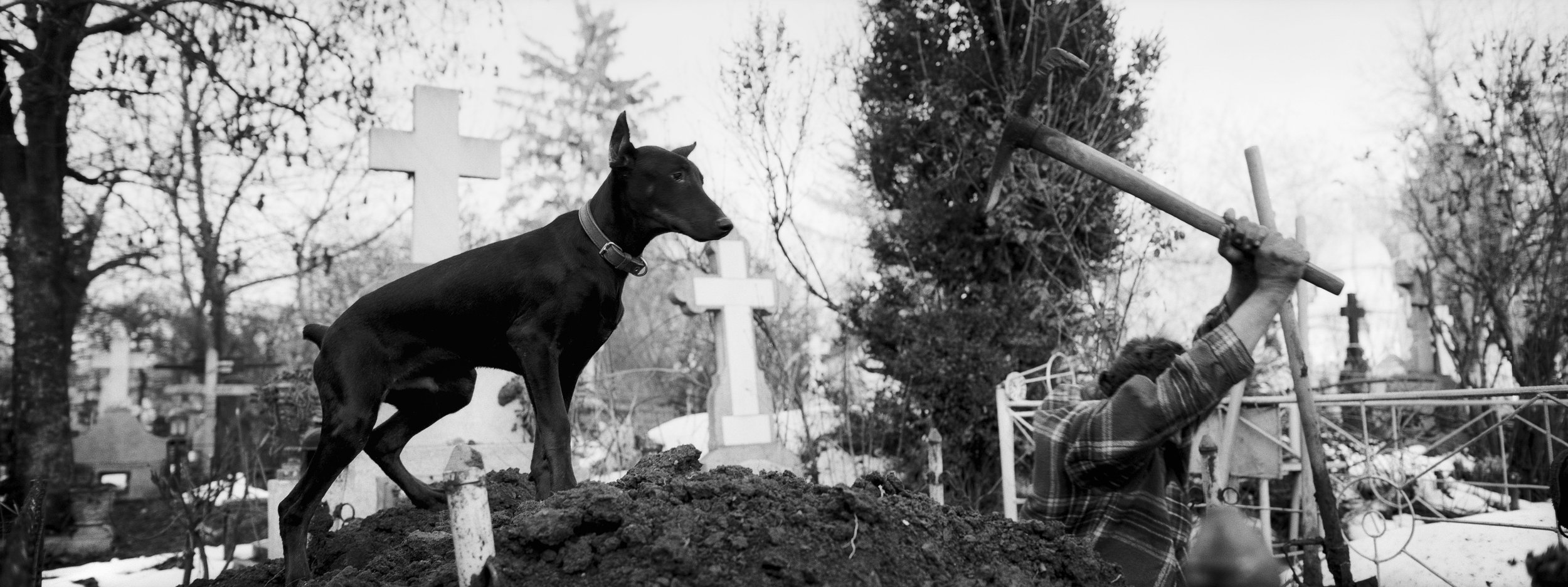 ©Stephen Dupont - Bucharest Wild Dogs 2001 - 0103 A031 #13A_Book.jpg