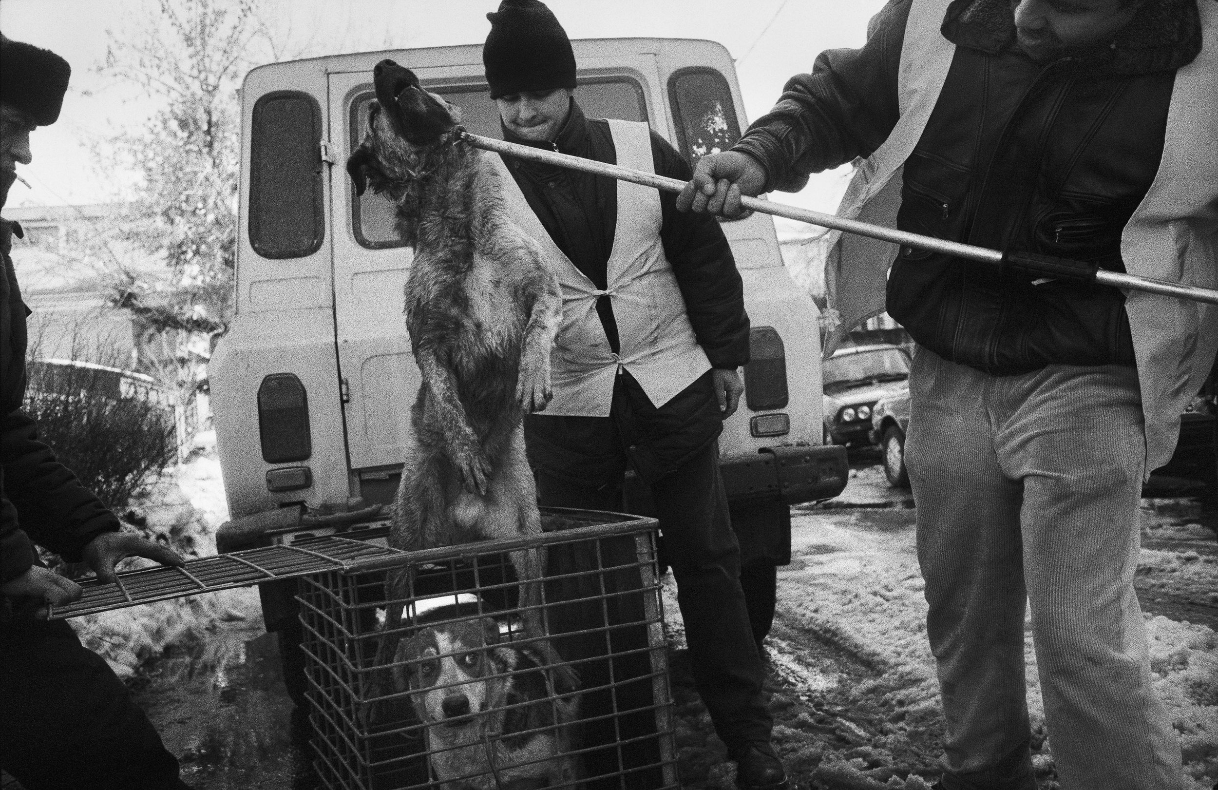 ©Stephen Dupont - Bucharest Wild Dogs 2001 - 0103 A067 #32_Book.jpg