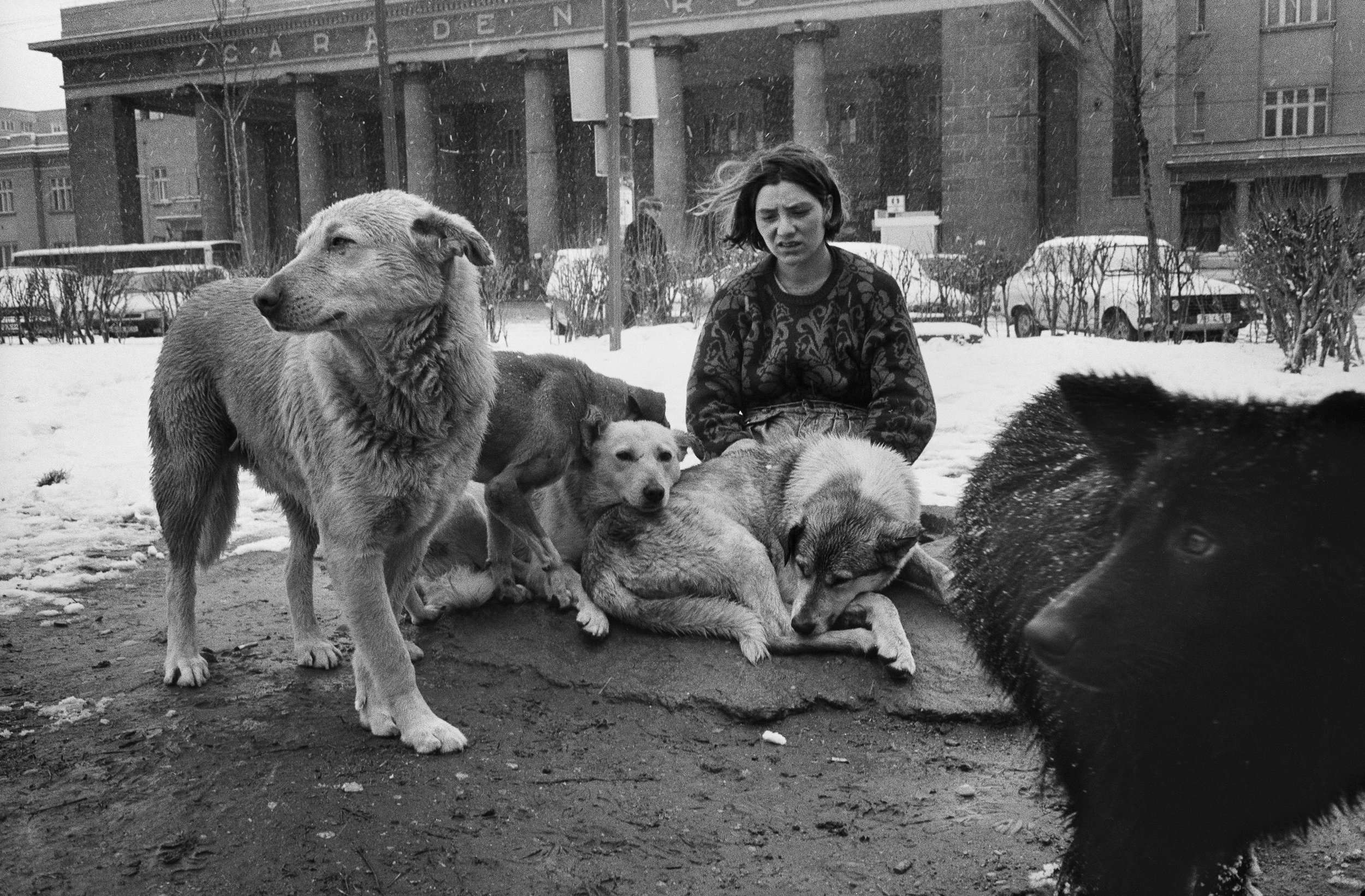 ©Stephen Dupont - Bucharest Wild Dogs 2001 - 0103 A088 #28A_Book.jpg