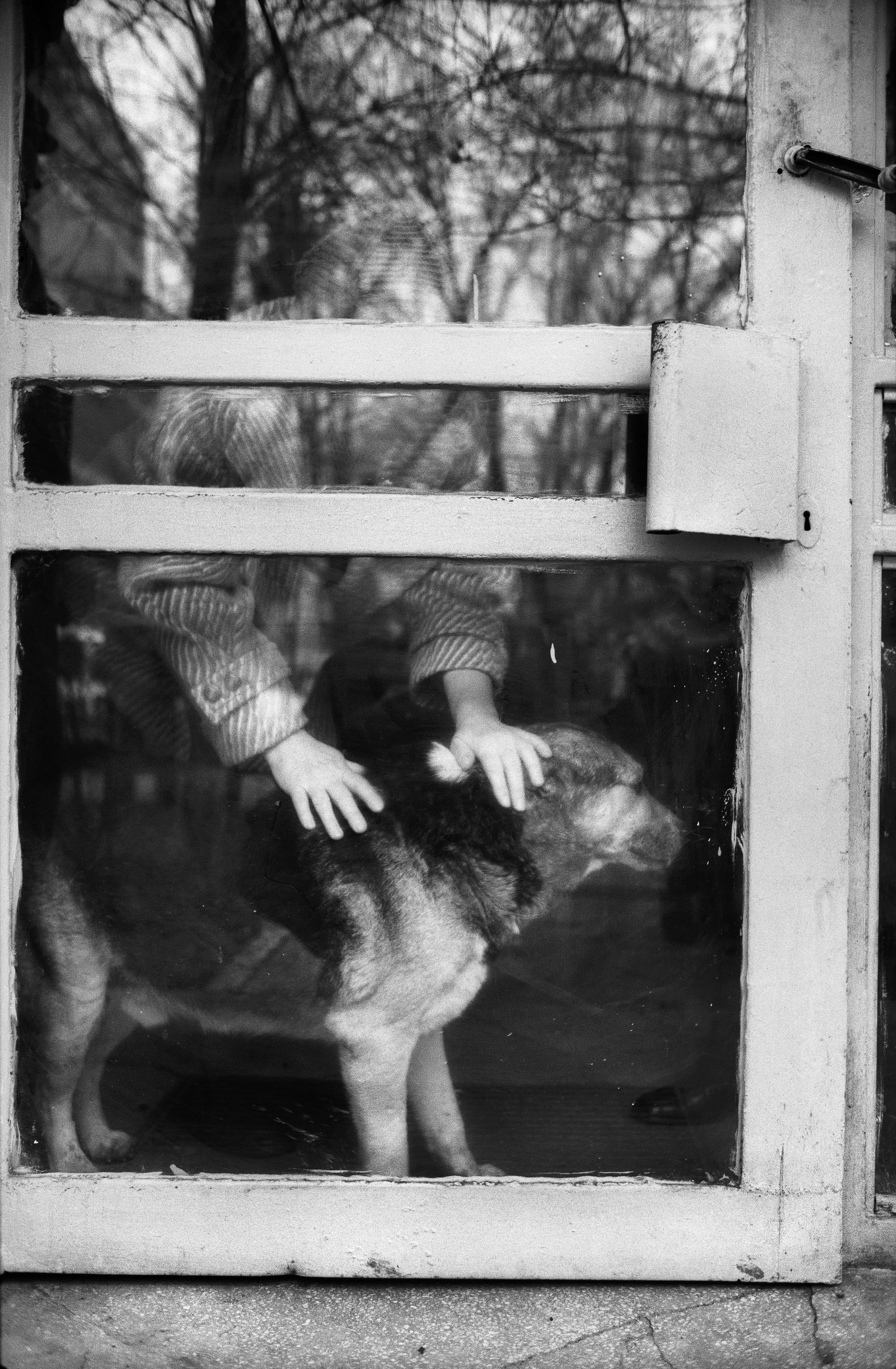 ©Stephen Dupont - Bucharest Wild Dogs 2001 - 0103 A139 #35A_Book.jpg