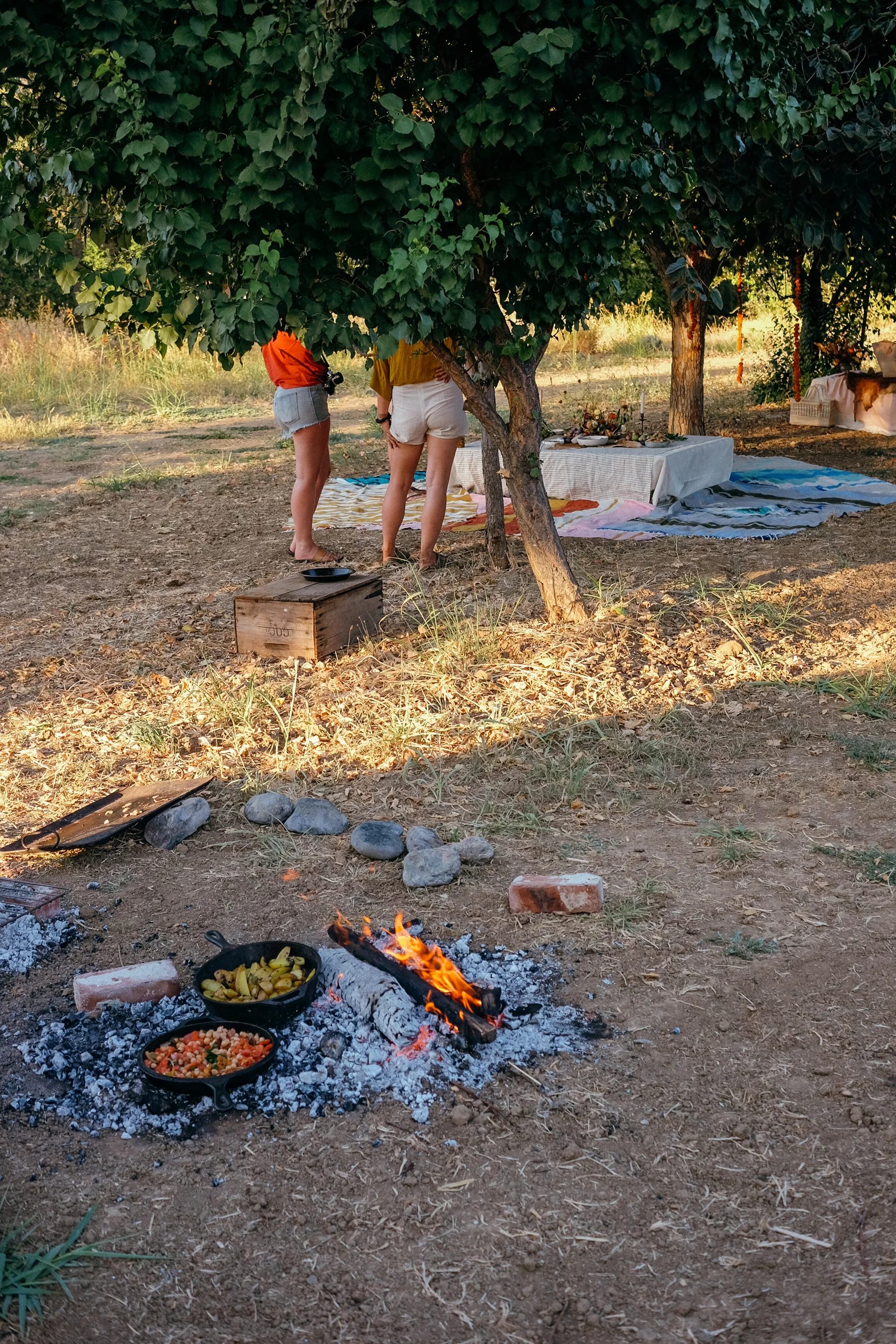 FullBelly_Dinner-35.jpg