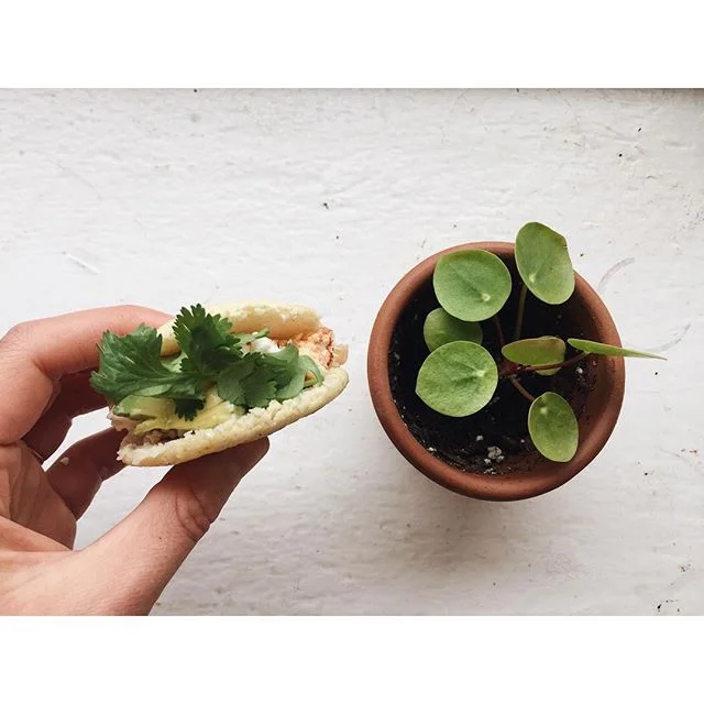 A lot of people have been asking why we're closed on Tuesday. 
Well, that's a loaded question folks. Other than needing to sleep in past 6am for one day and picking up our @full_belly_farm order in Berkeley the answer is AREPAS 🤑🤑