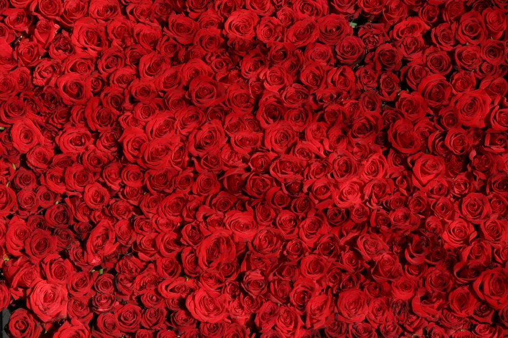 How I want my house to look after Valentine's Day.