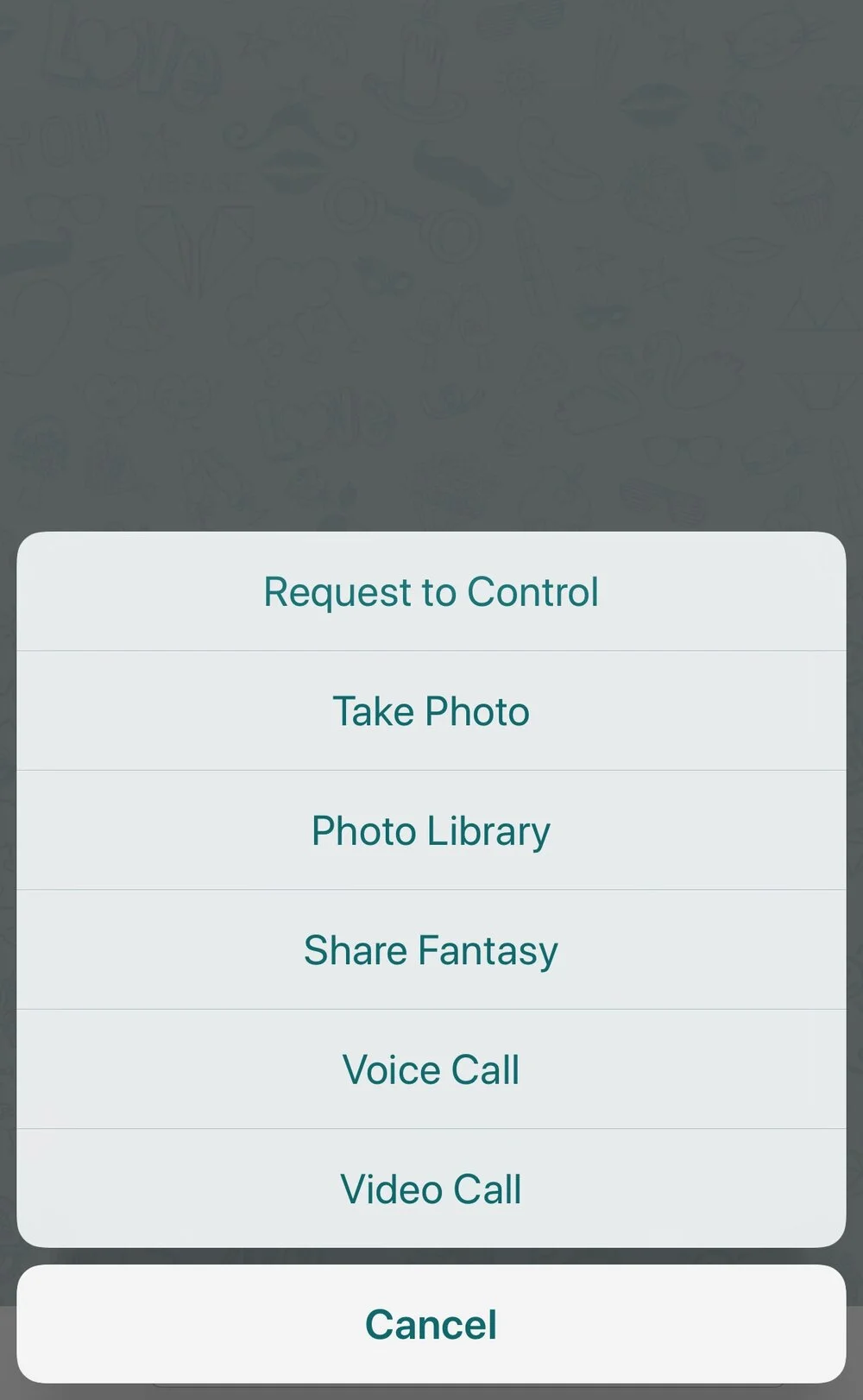 Options within a chat in the app.