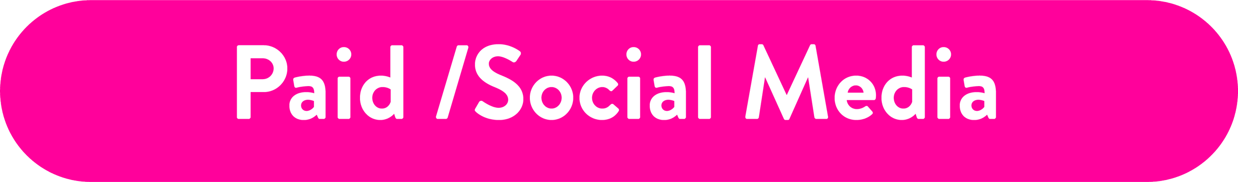 Paid/Social Media
