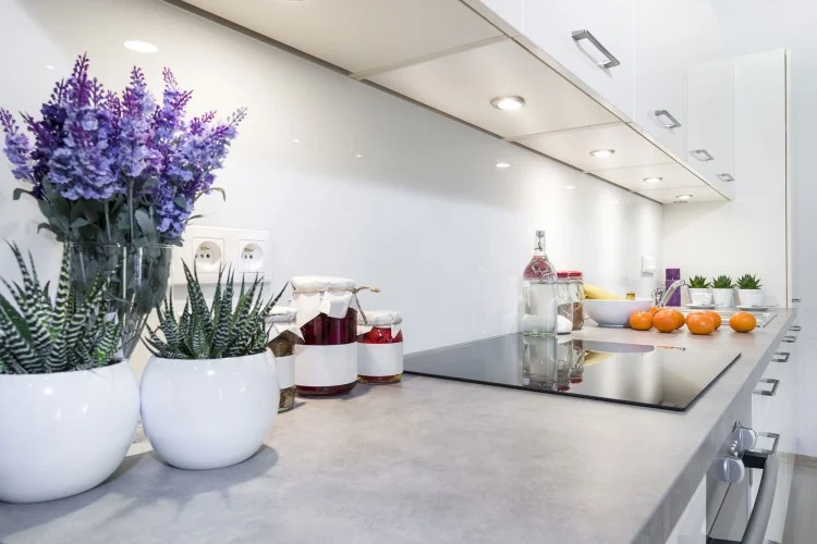 Clean-Kitchen-750x500.jpg