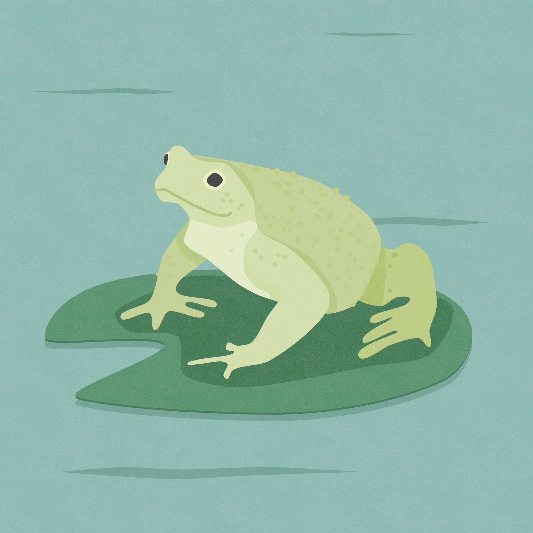 Week 1: Toadally Cool