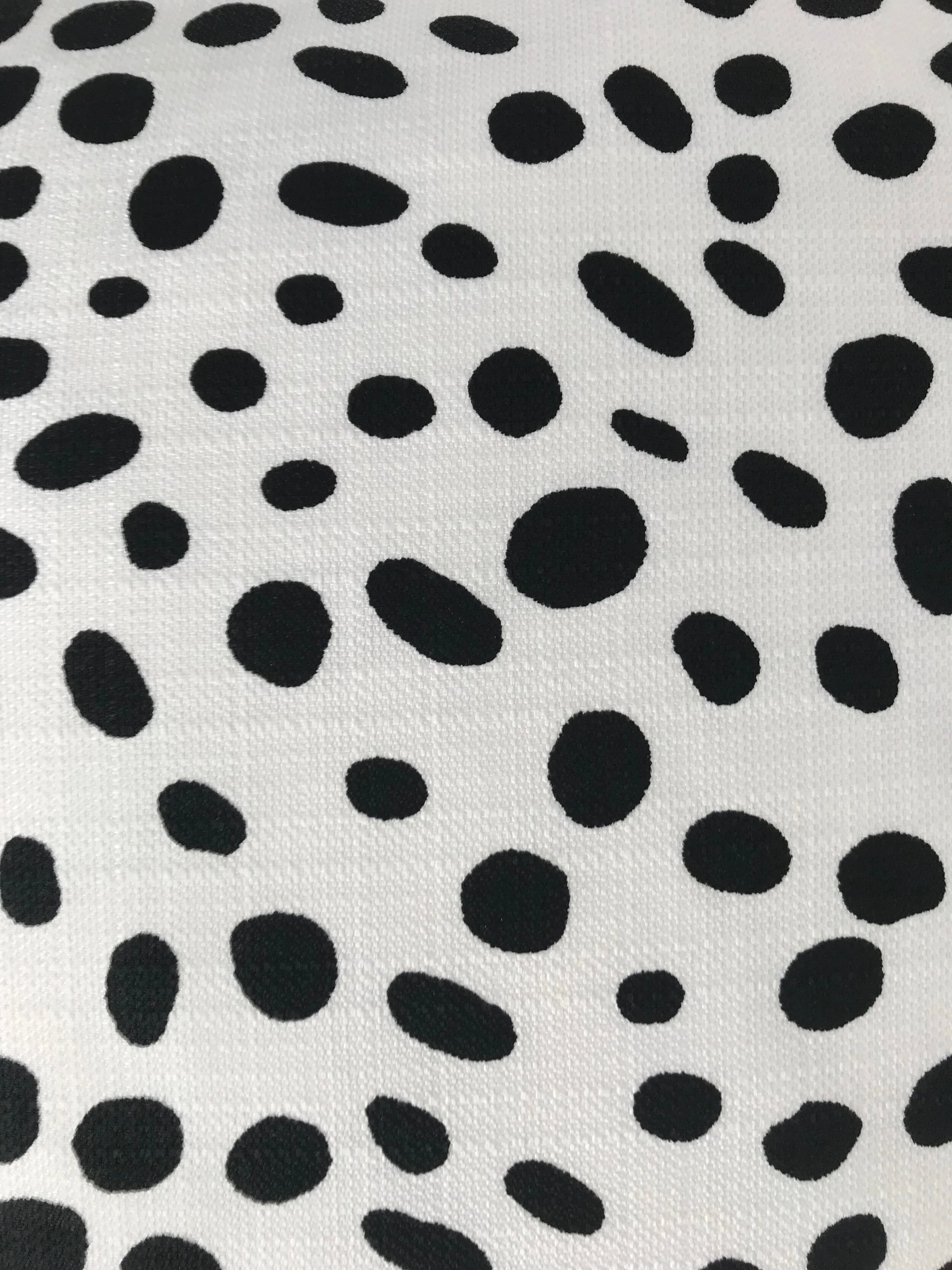 B-W Dots Closeup.jpeg