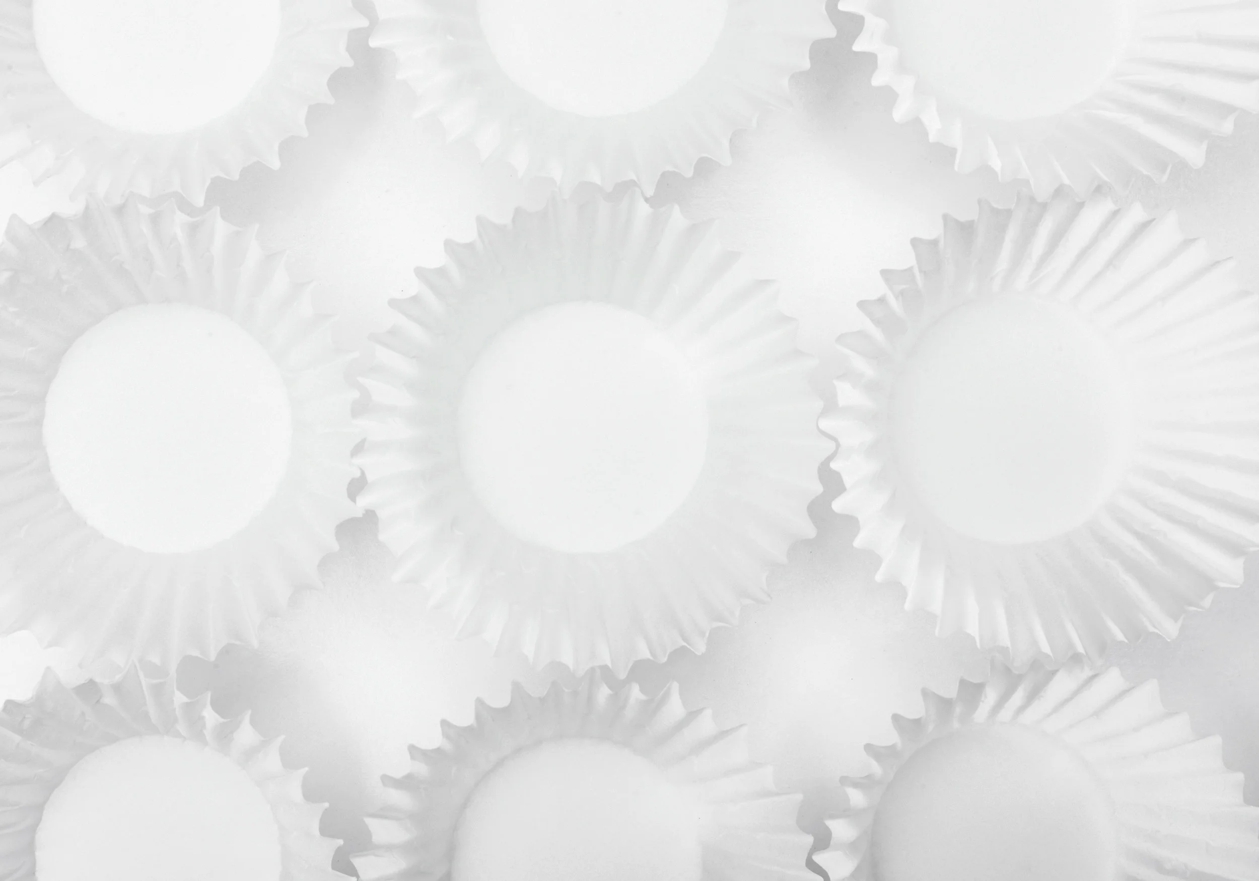 INVISIBLE CUPCAKES