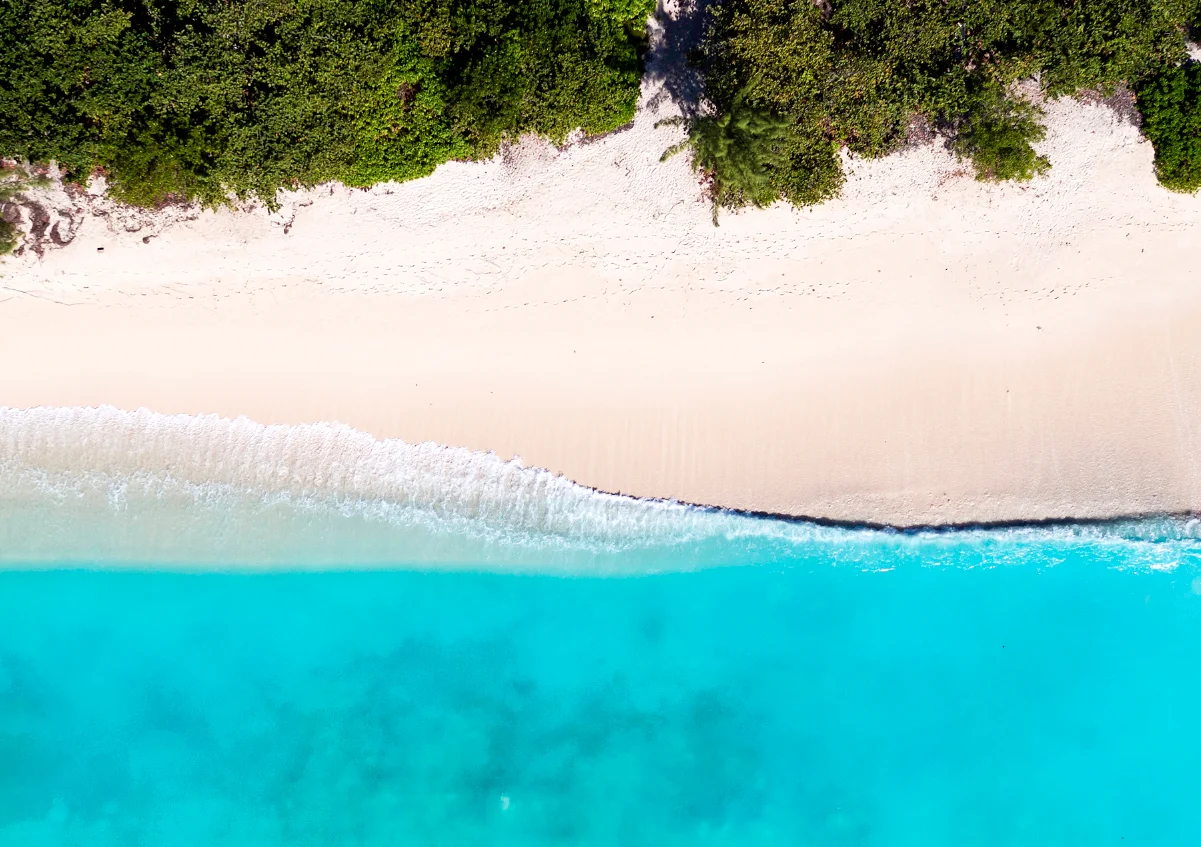 THE BEACH