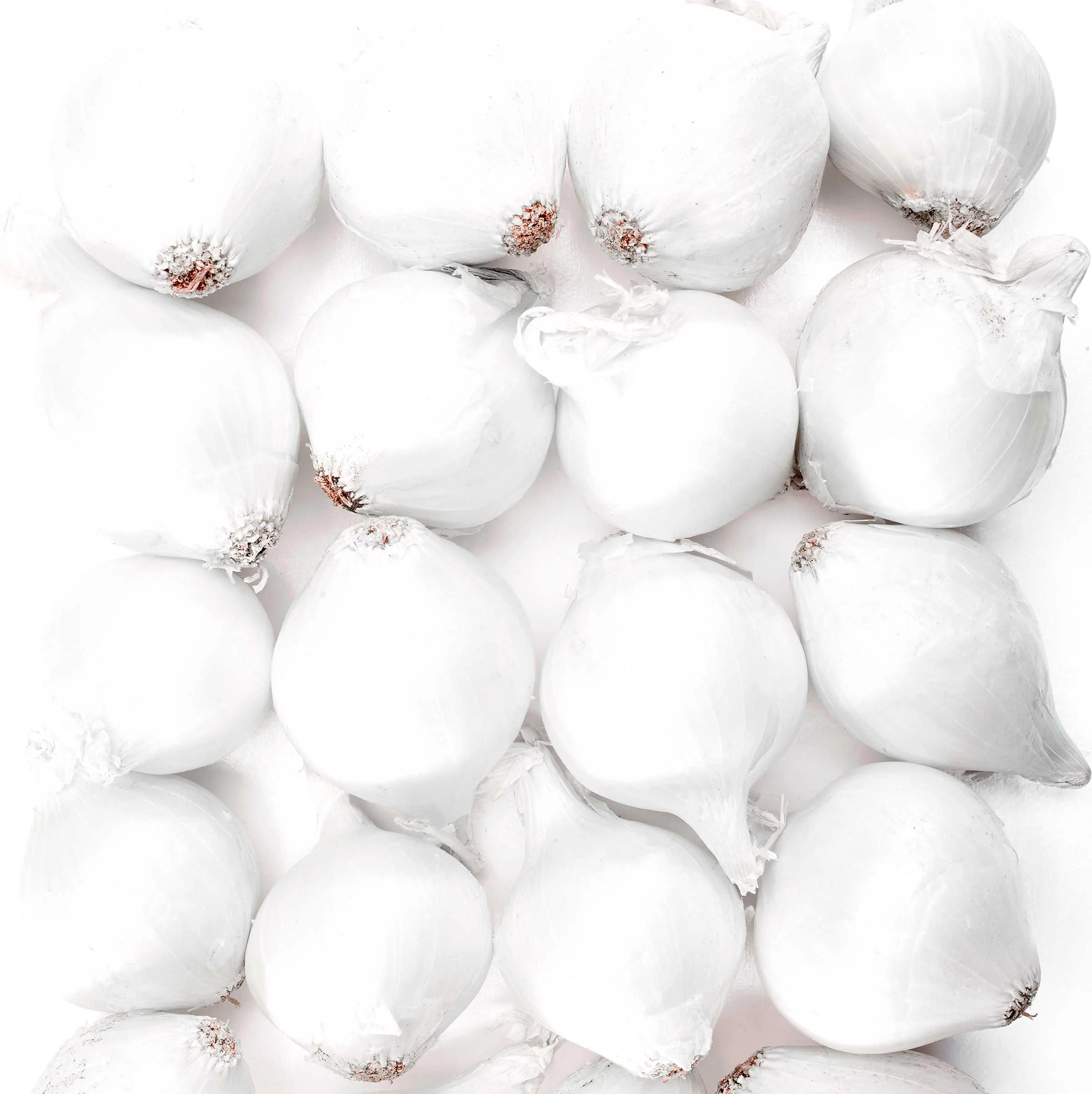 LITTLE WHITE ONIONS