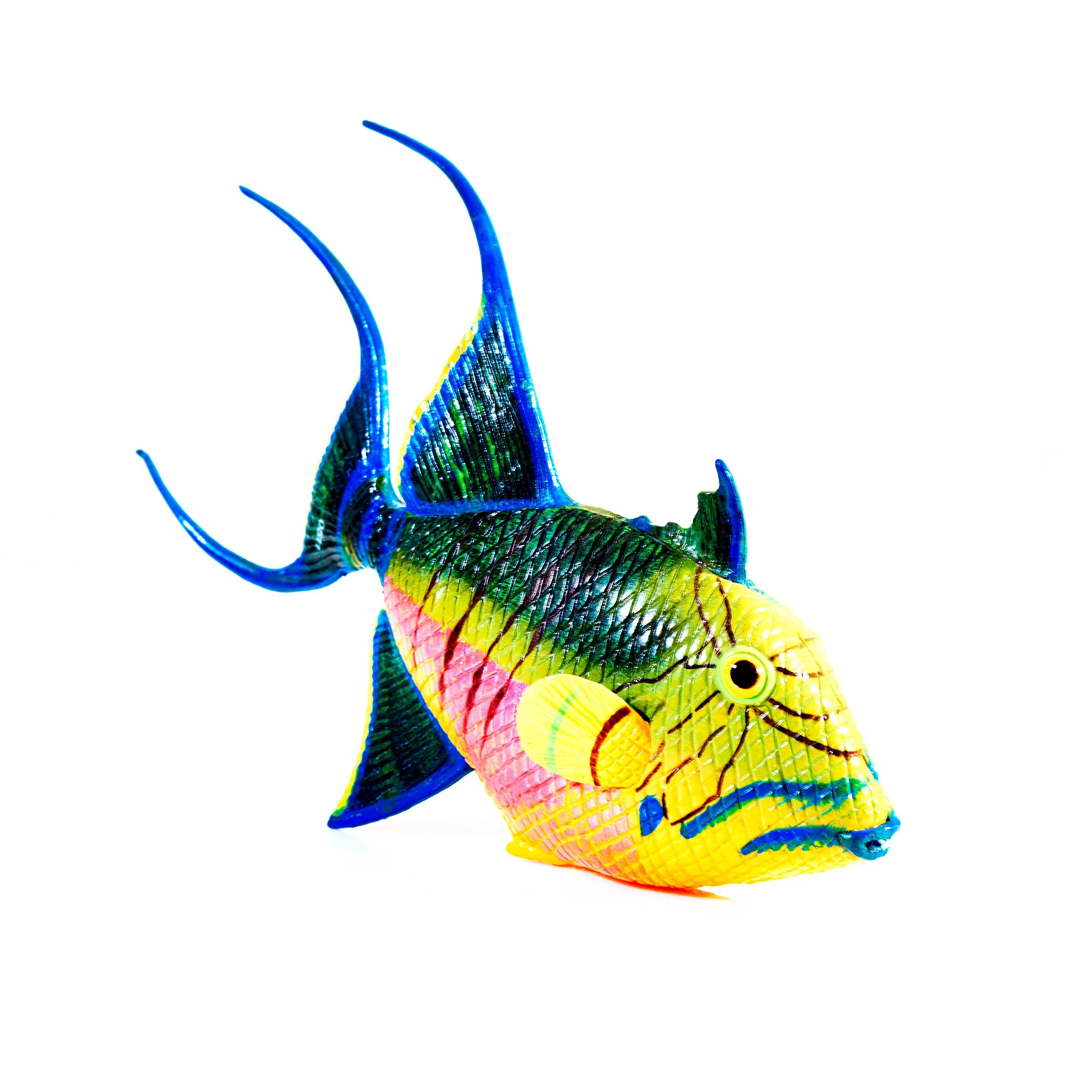 QUEEN TRIGGERFISH