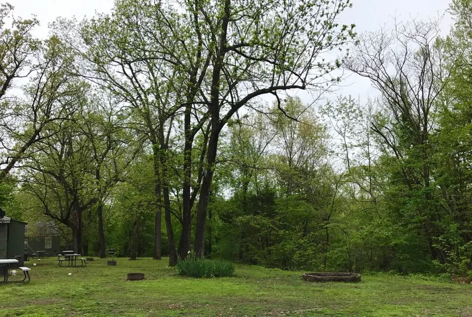 backyard.jpg