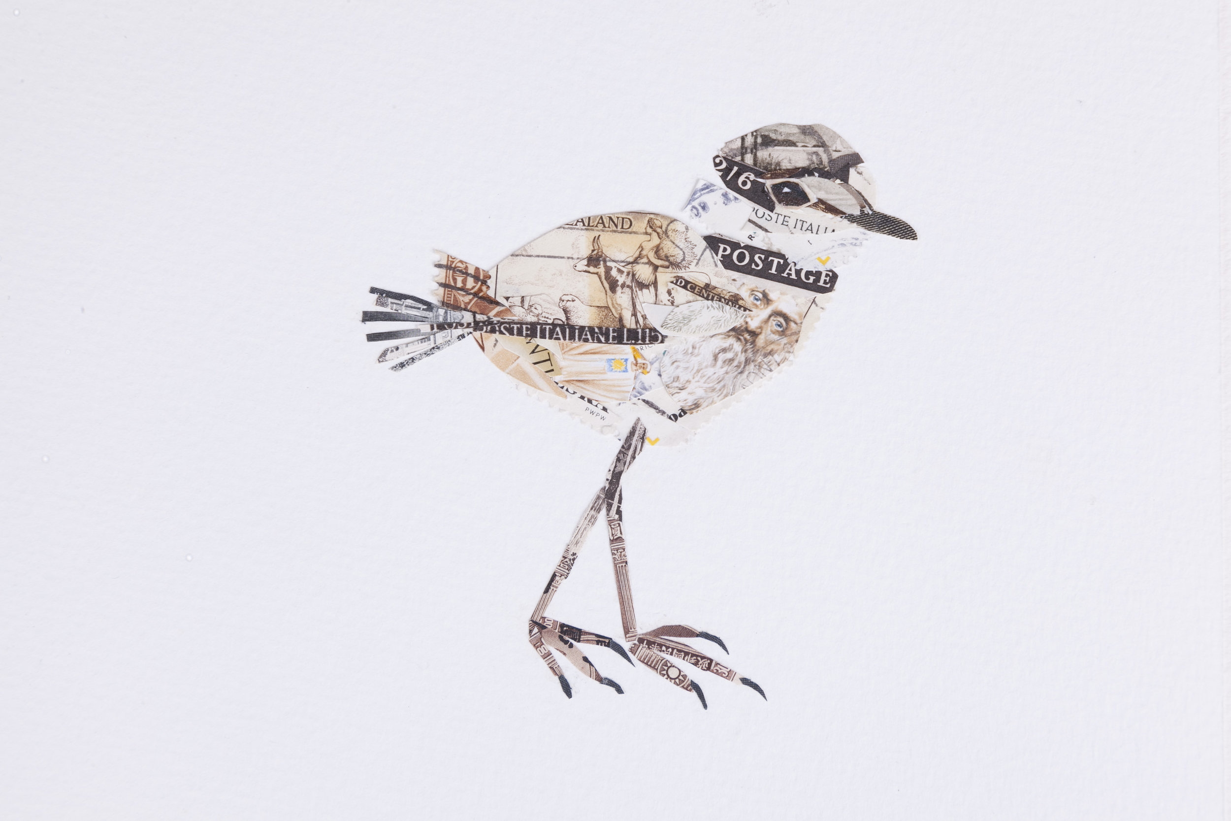 Kildeer (detail)