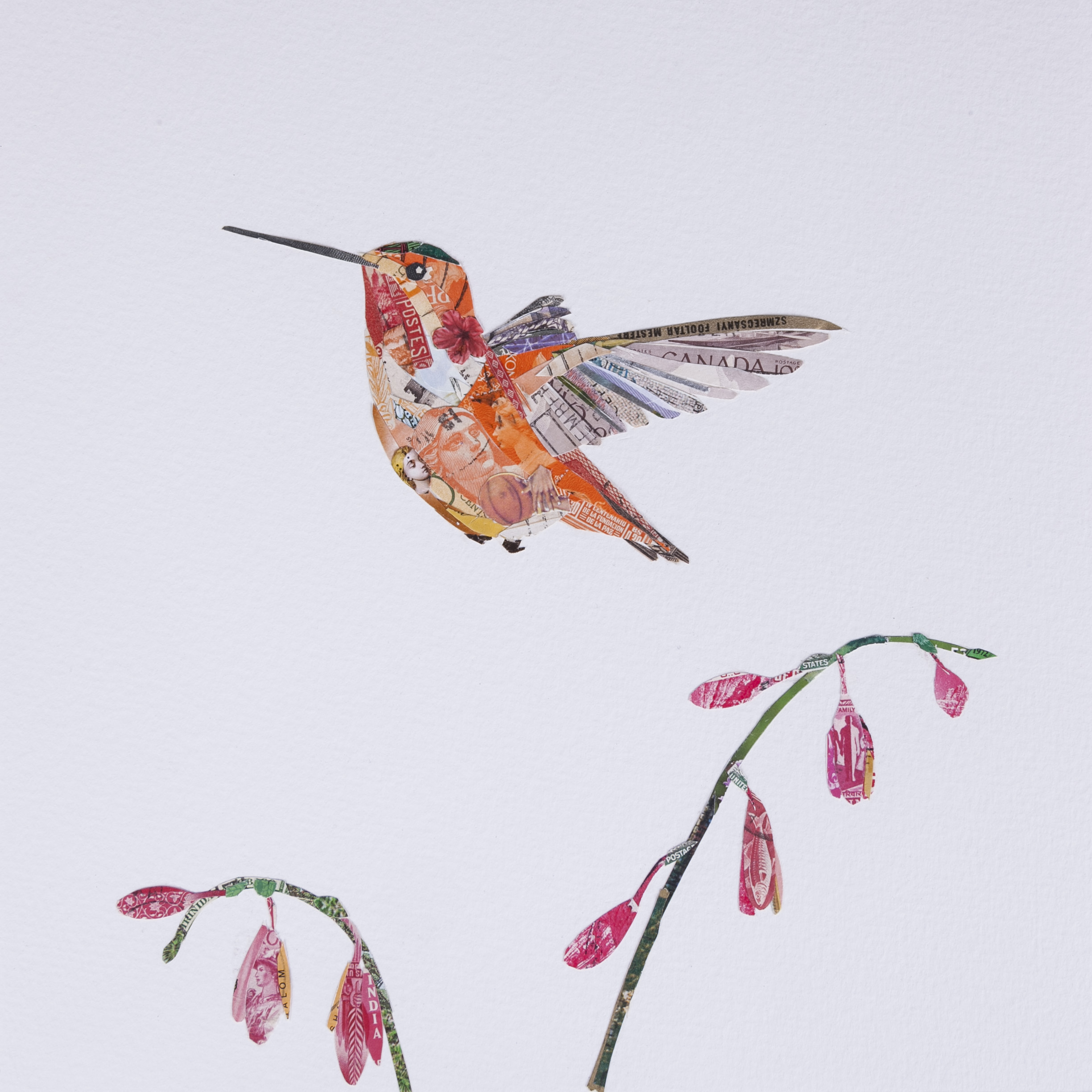 Allen's Hummingbird #6, 2016