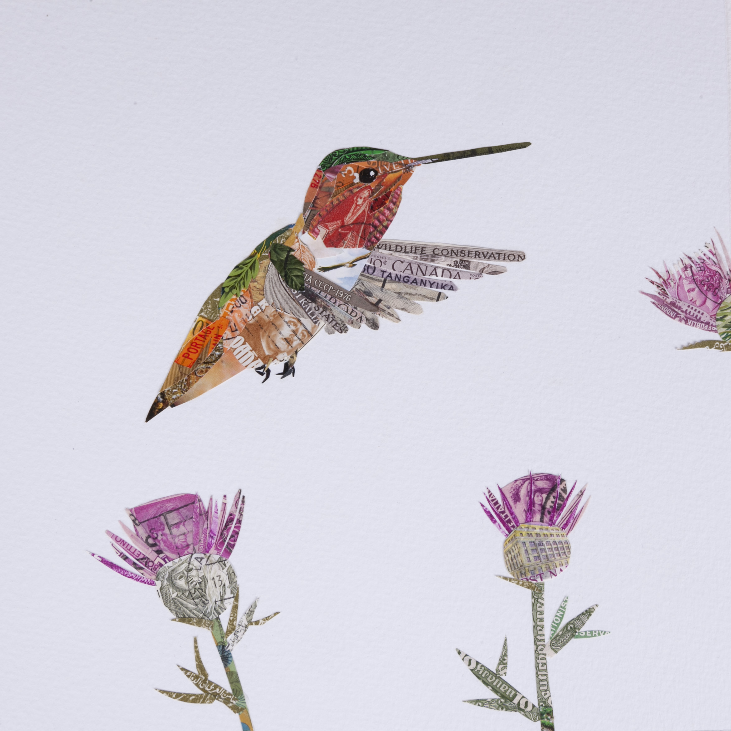 Allen's Hummingbird # 3, 2016