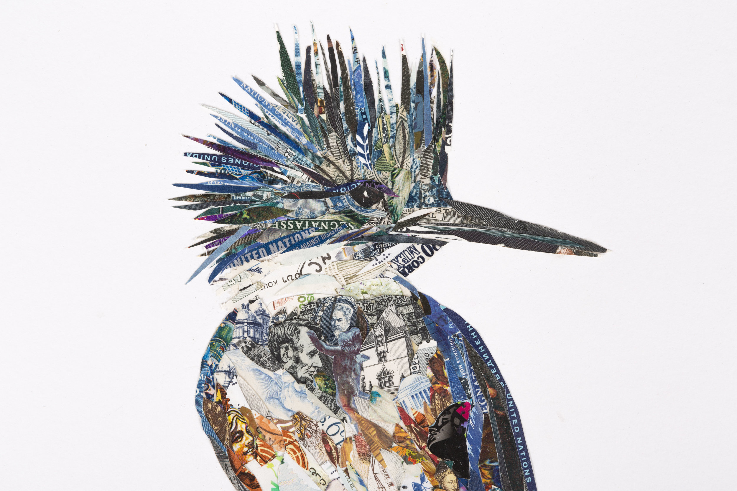 Belted Kingfisher (detail)