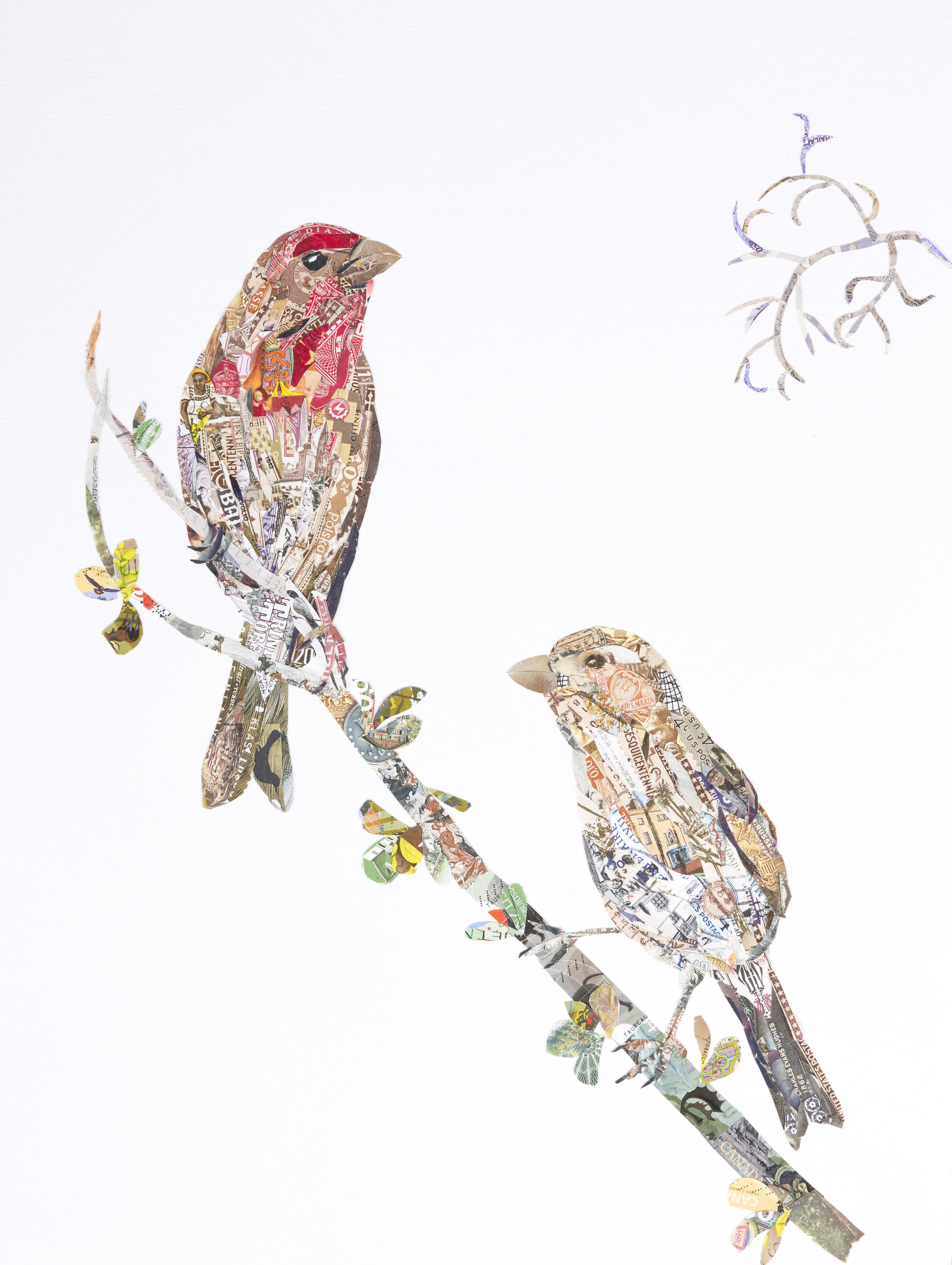 House Finches #2, 2016