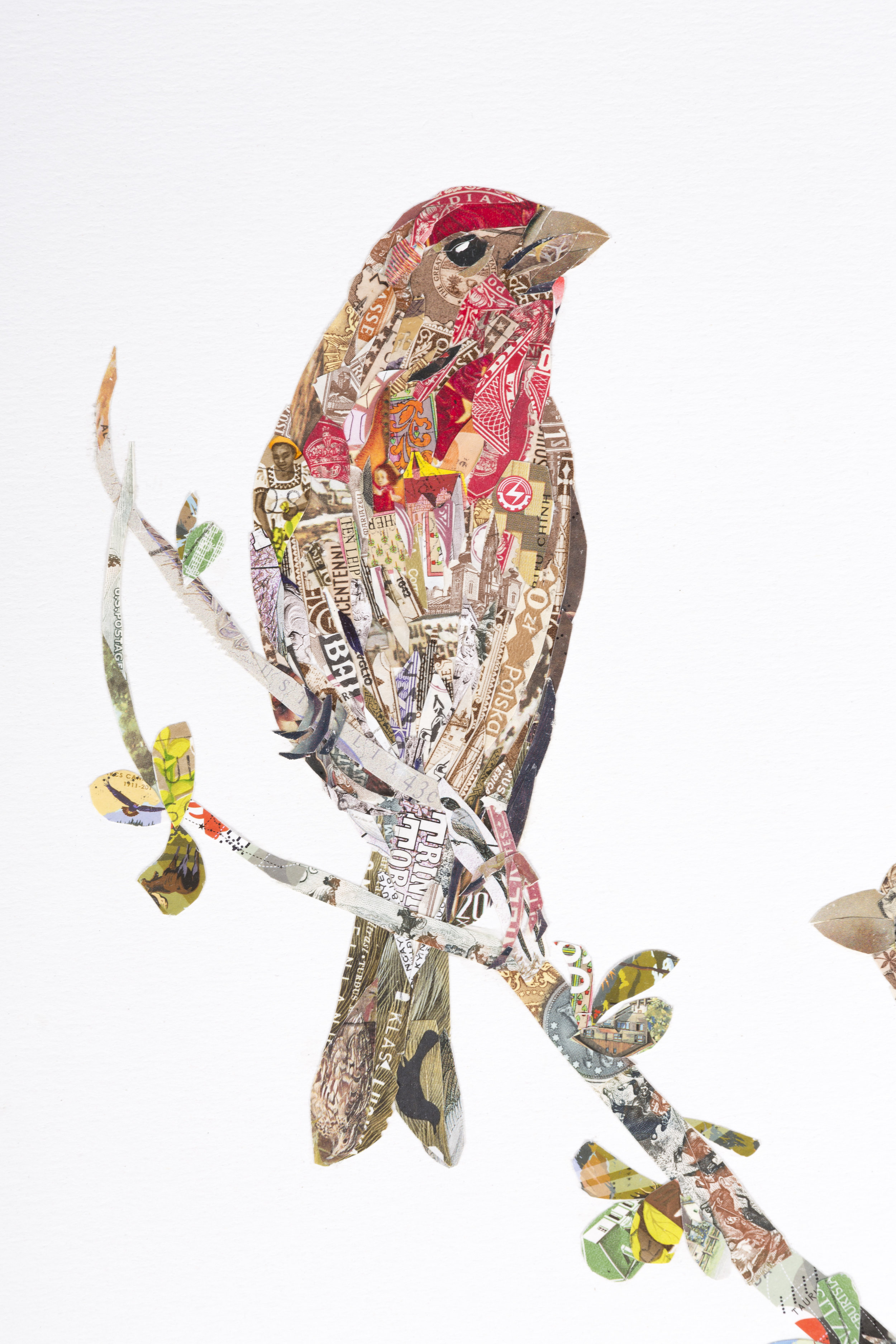House Finches #2 (detail)