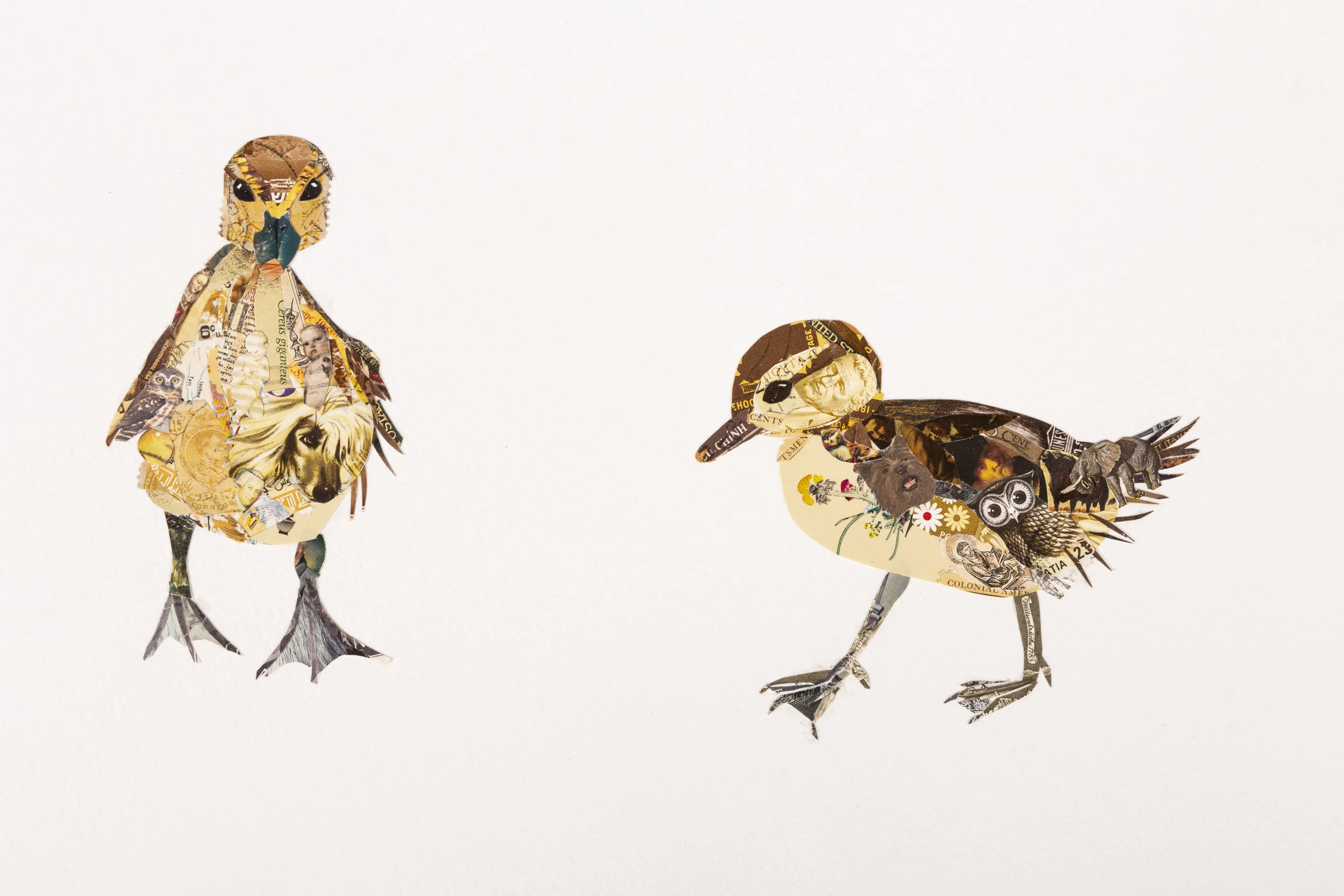 Baby Ducks #1