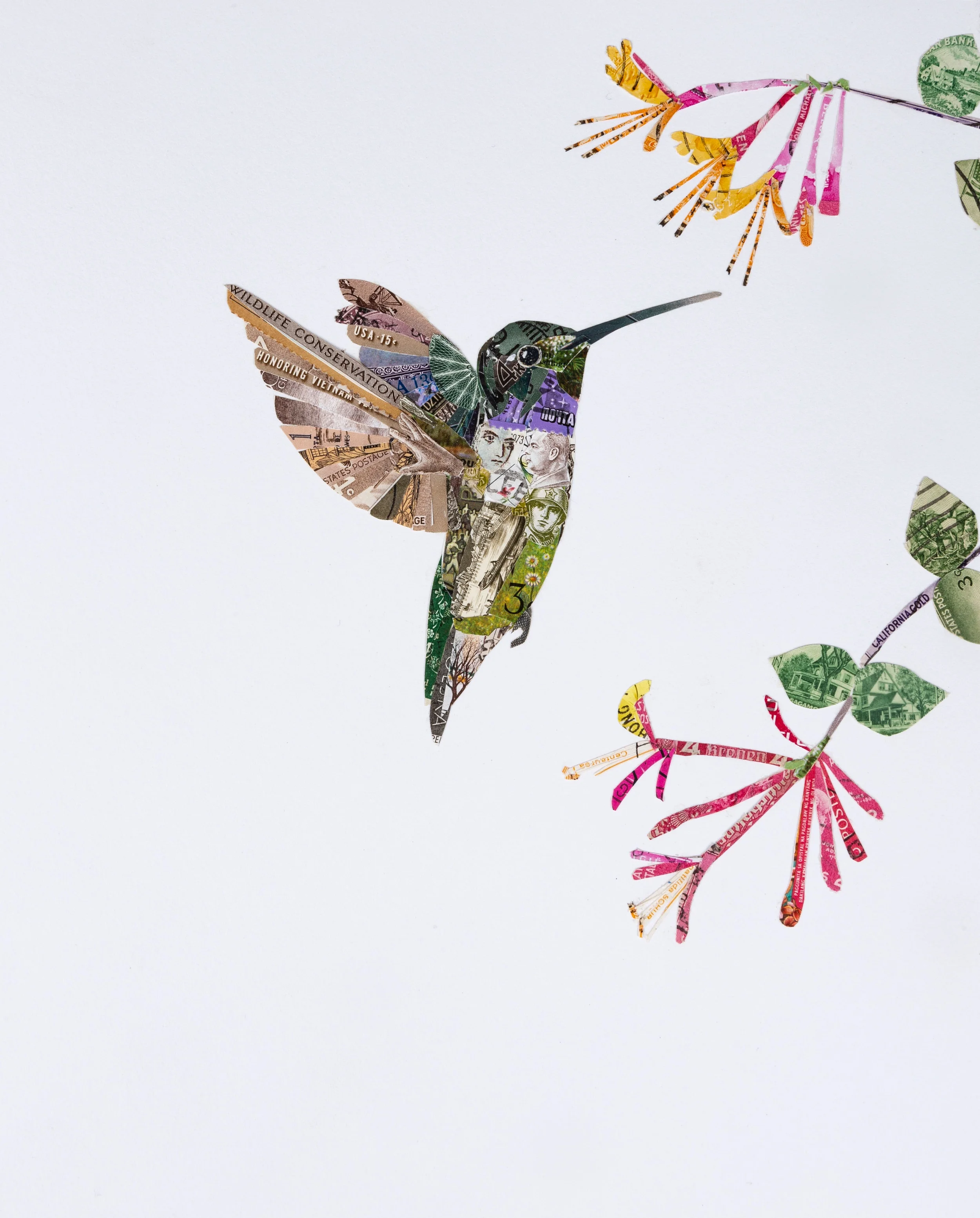 Black-chinned Hummingbird, 2018