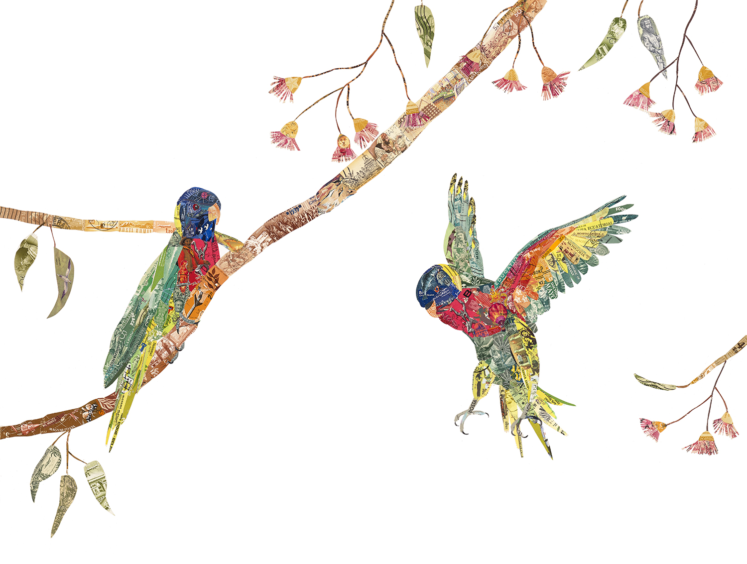 Lorikeets 2, 2019