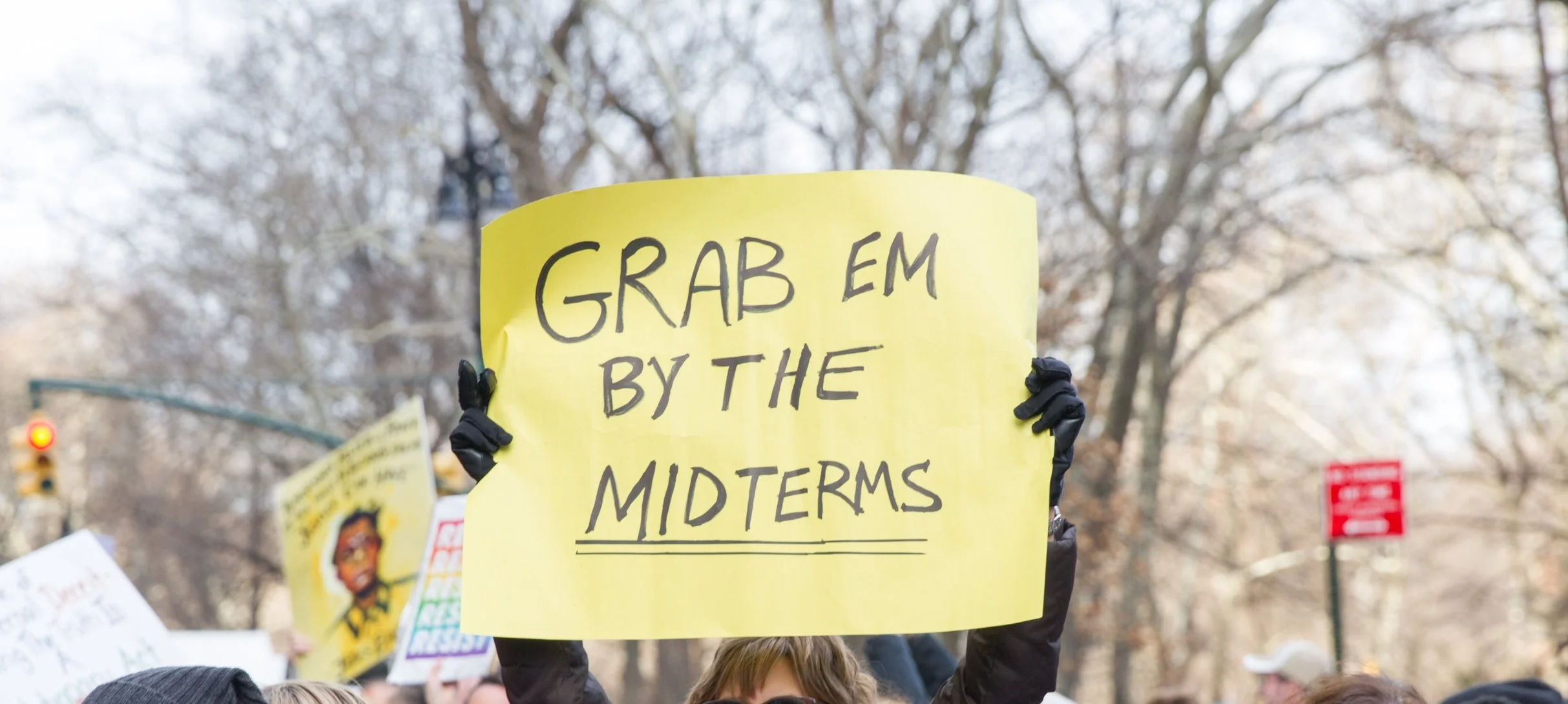 Orange County trong kỳ bầu cử giữa nhiệm kỳ