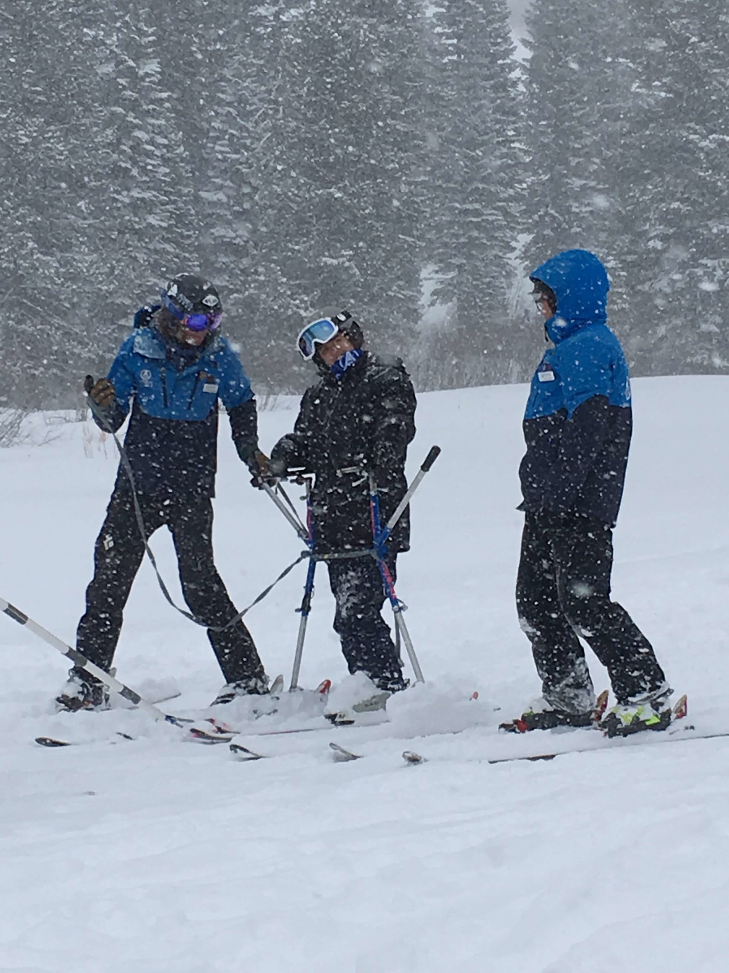 The glider attached to the skis.