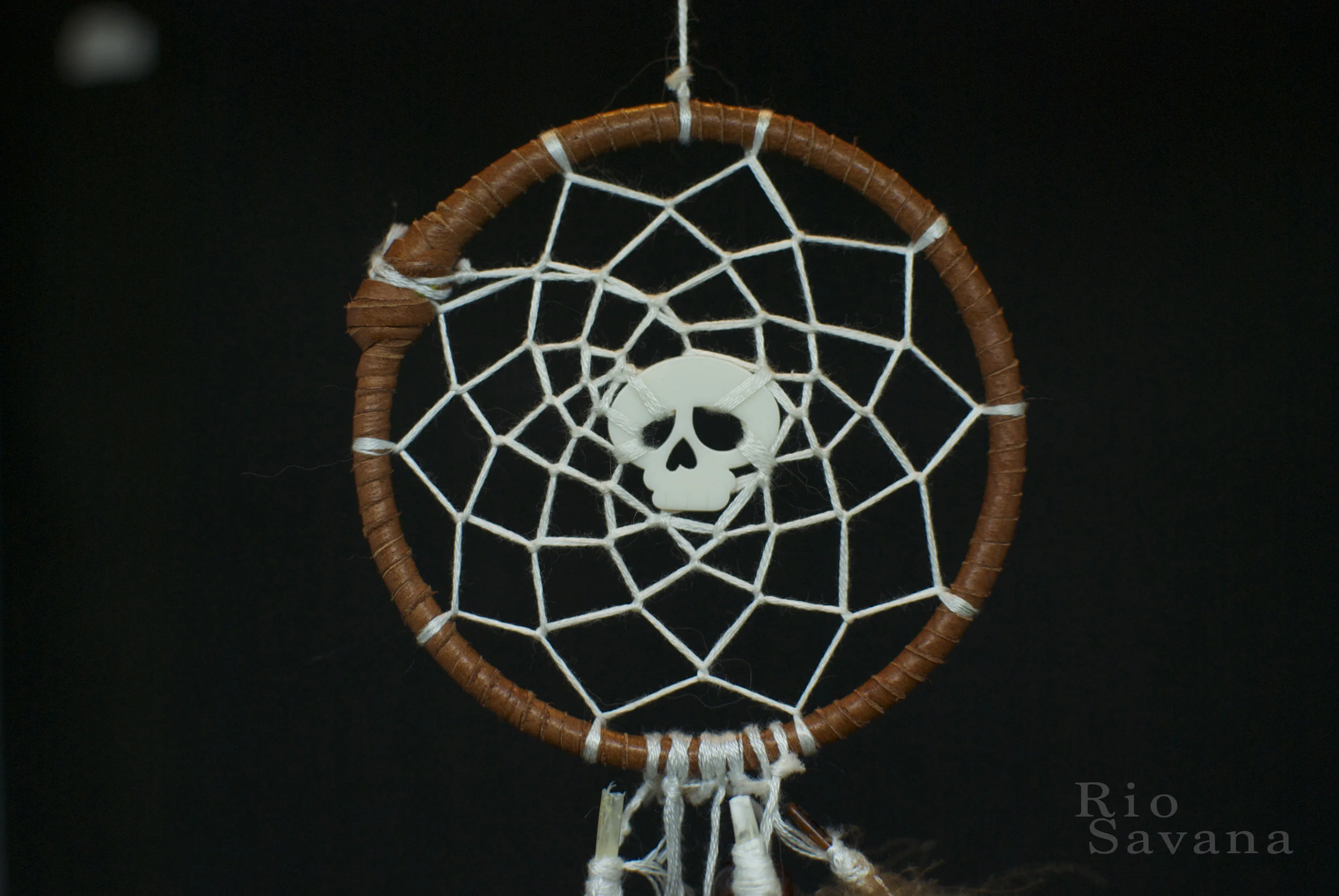 skull close body.jpg