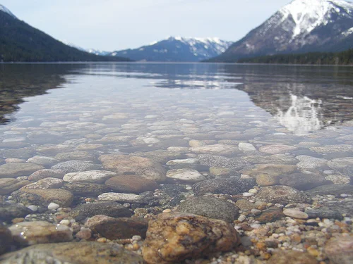 A Mile Wide and An Inch Deep - Why Organizations’ Top-Line Numbers are Missing the Point