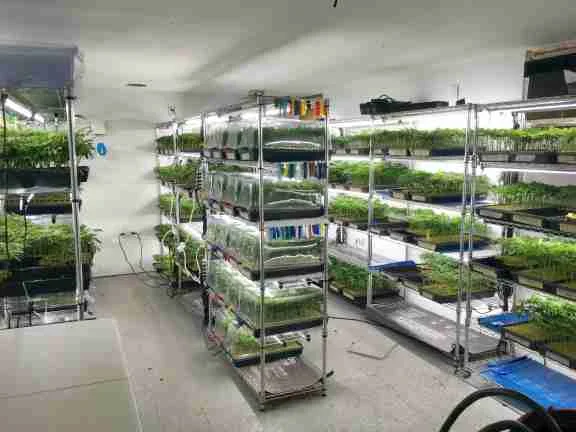 Clone Room 1