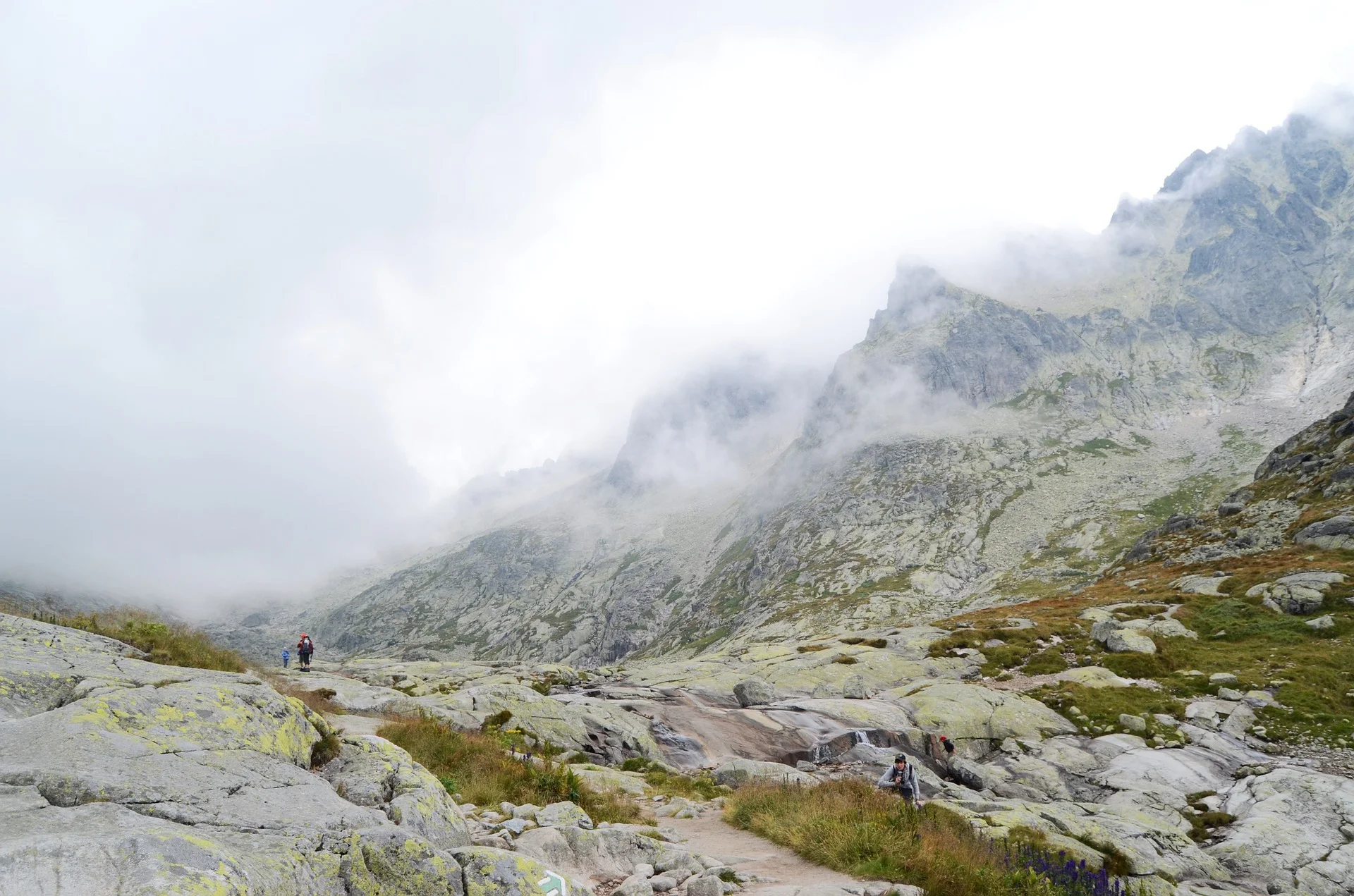 mountains-984104_1920.jpg