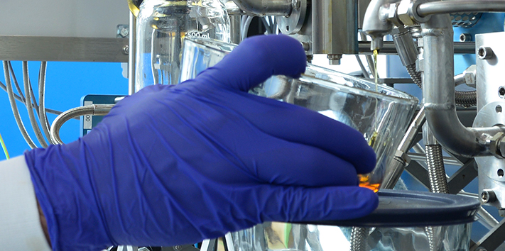 Gloves.jpg