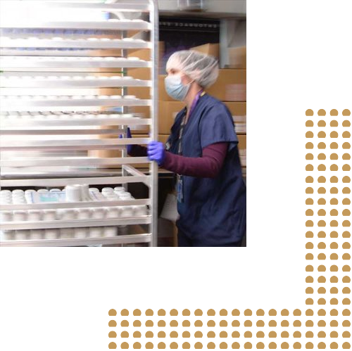 mari-development.png