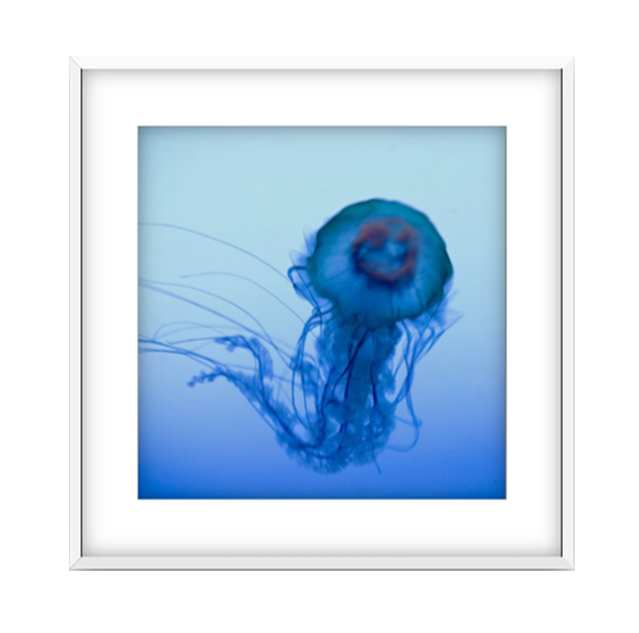 Francis-Augustine.Print.La-Meduse-2.White-Frame.png
