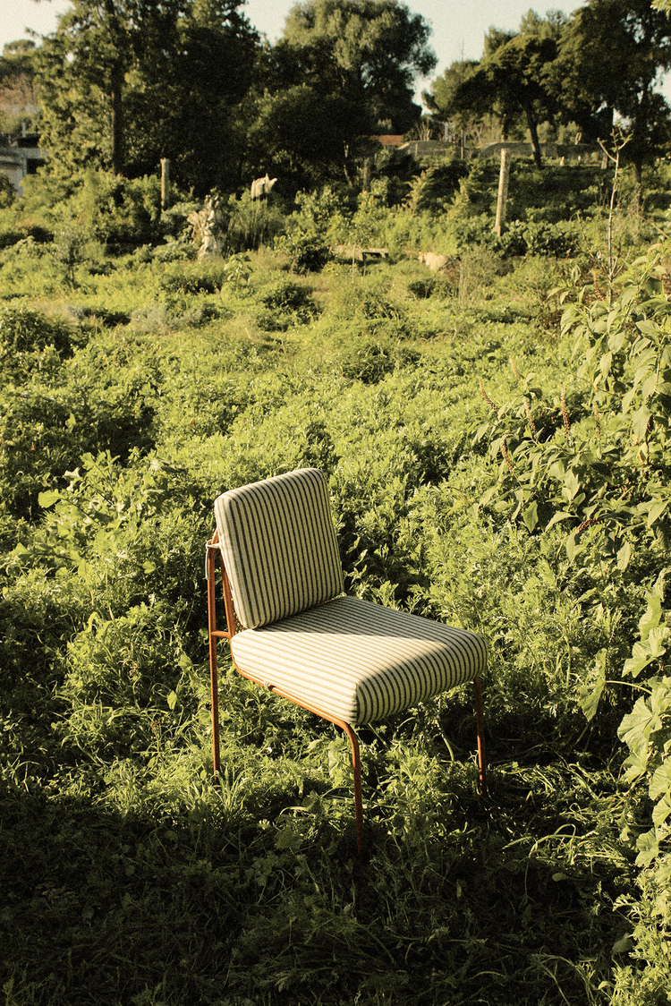 A single Riviera chair with a striped cushion and terra cotta frame nestled within a lush, wild green garden under warm sunlight.