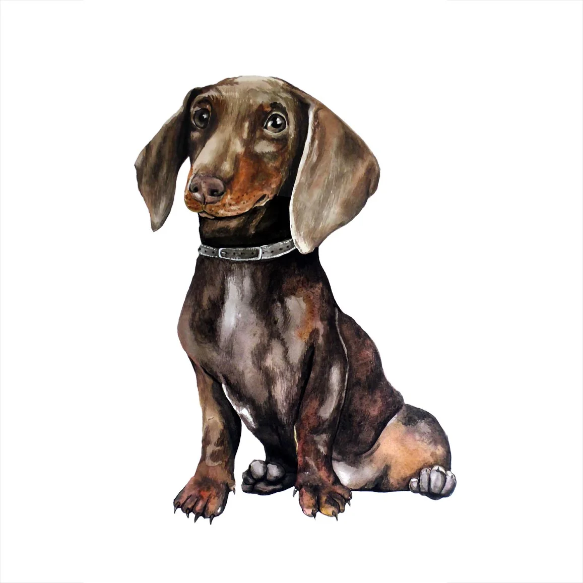 dachshund artwork