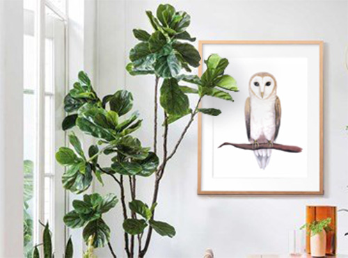 fiddle leaf interior design barn owl watercolour.jpg
