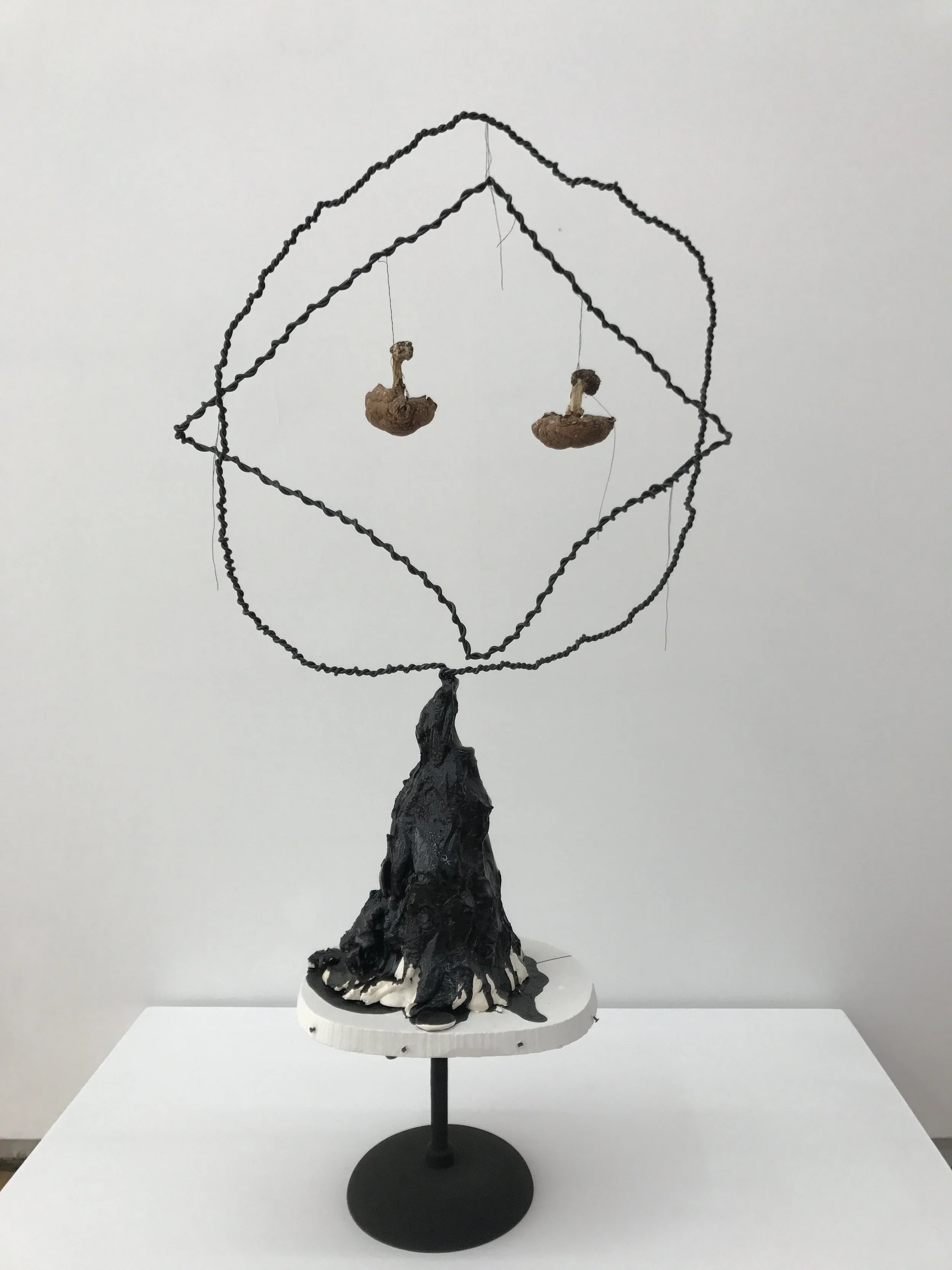 Michelle Segre, Untitled (Dual Mushrooms) , 2016