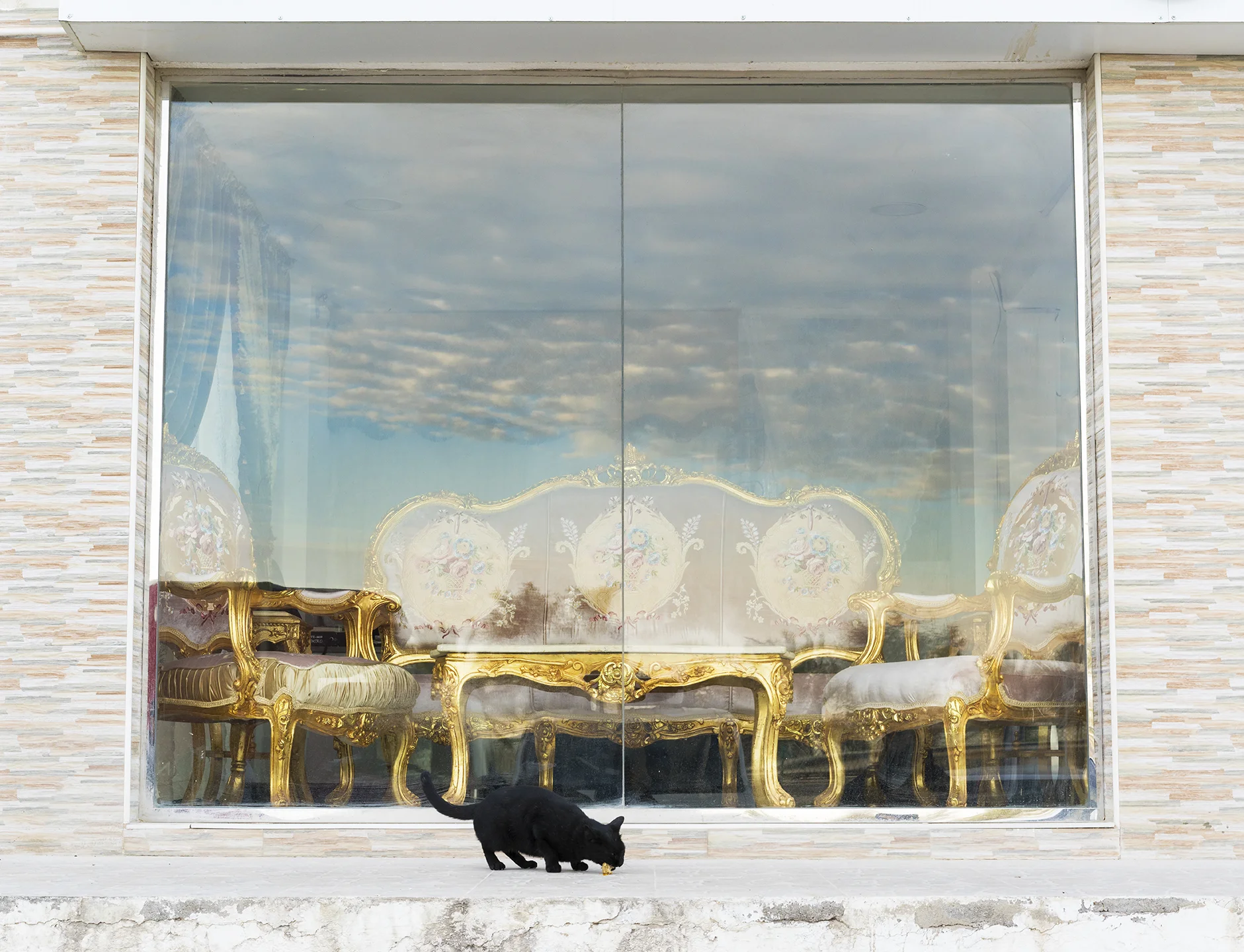 Farah Al Qasimi, Furniture Market, Stray Cat , 2018