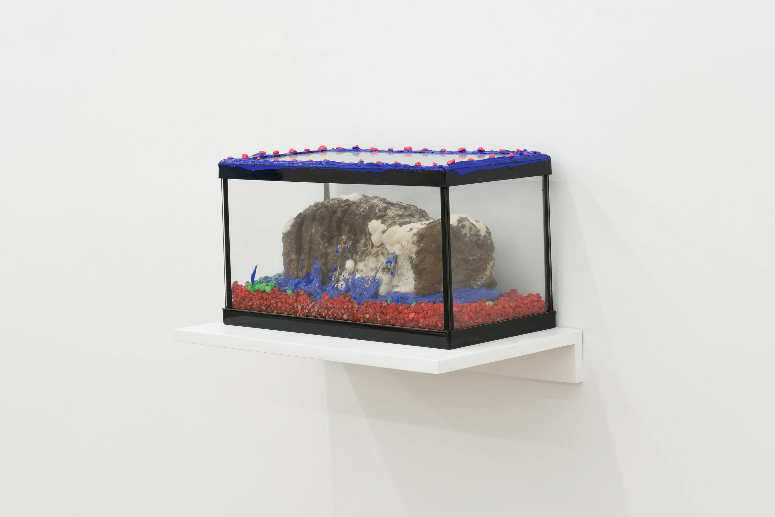 Michelle Segre, New Pet , 2018