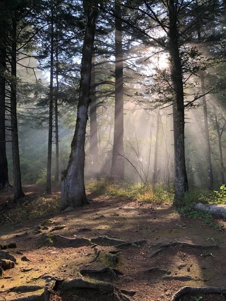 How Do you Improve Your EQ?