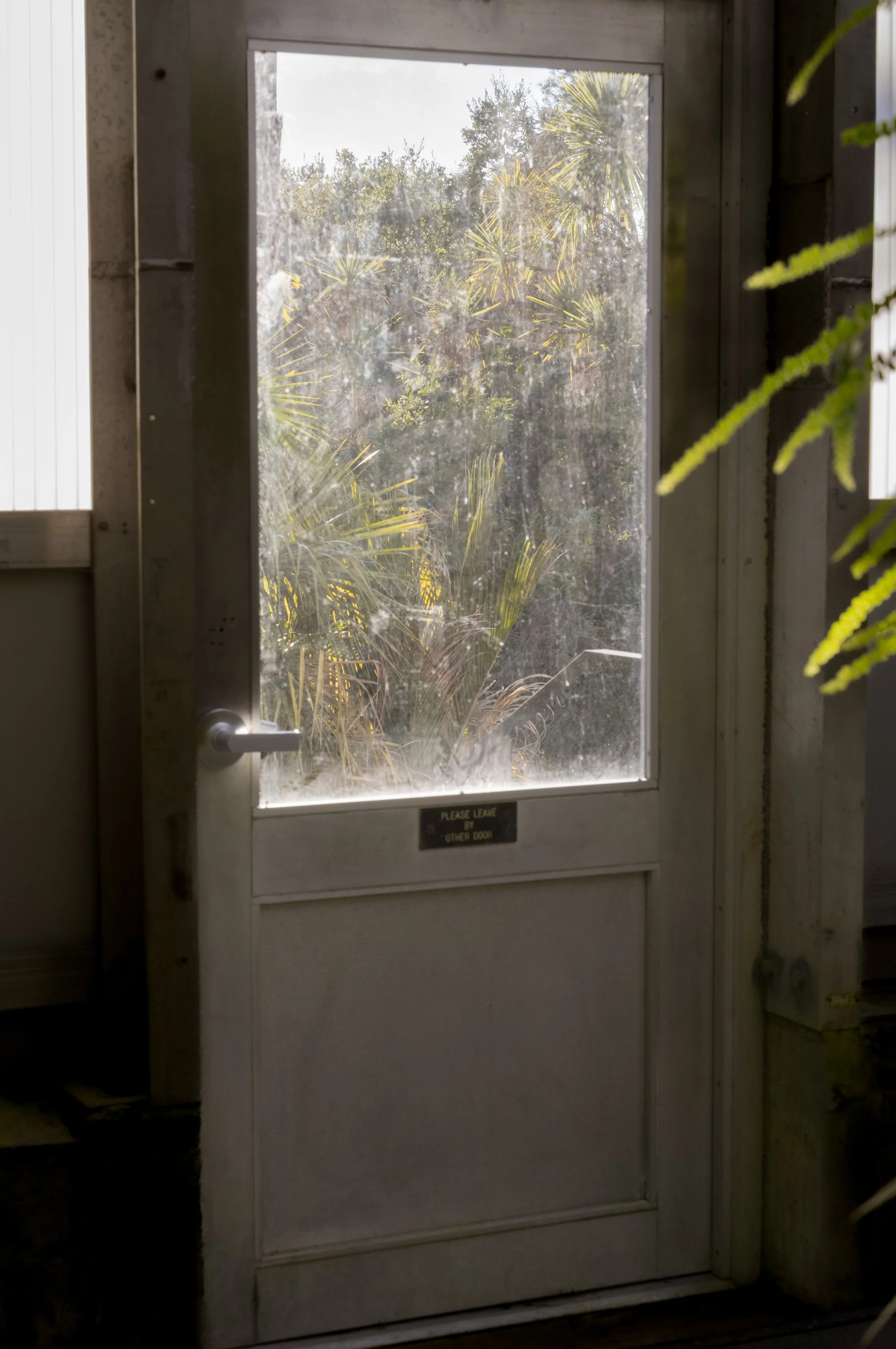 L1006071.jpg