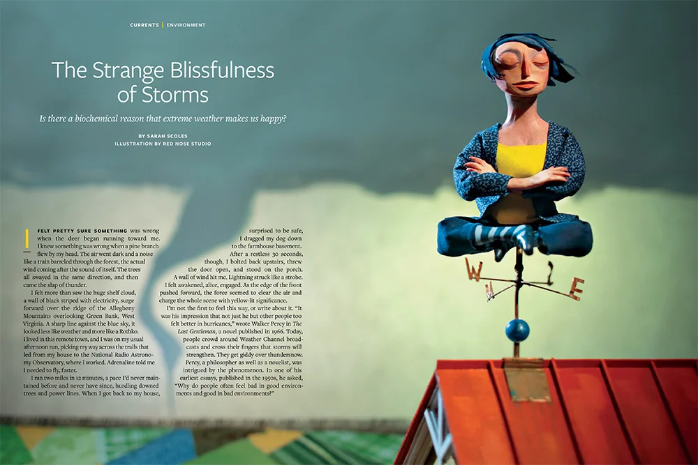 Illustration by Red Nose Studio