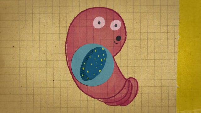 Nautilus Spark: Sean B. Carroll / Art and Animation by Together