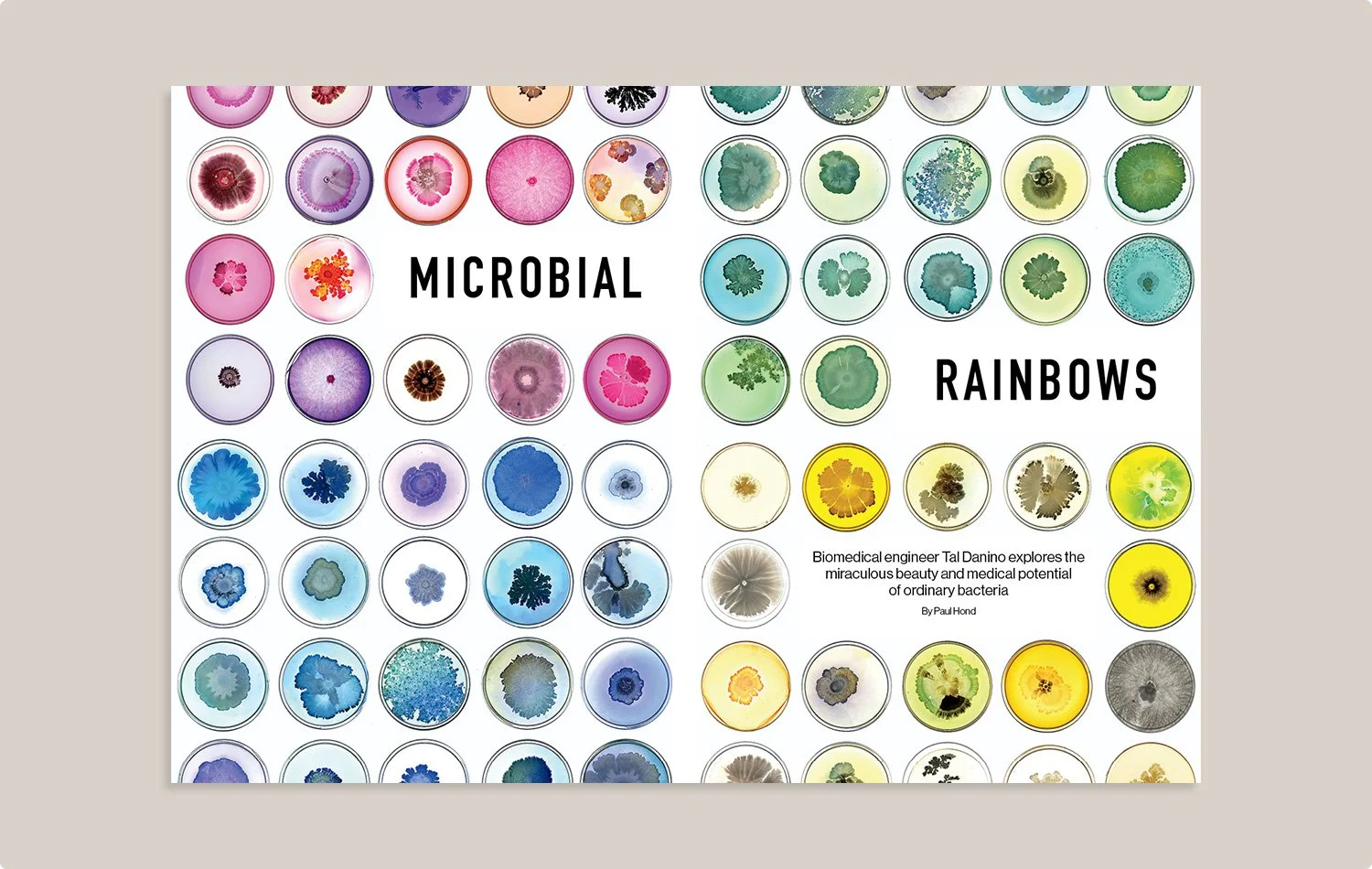 Len-Small_PROJECT_SPR_Microbial-Rainbow.jpg