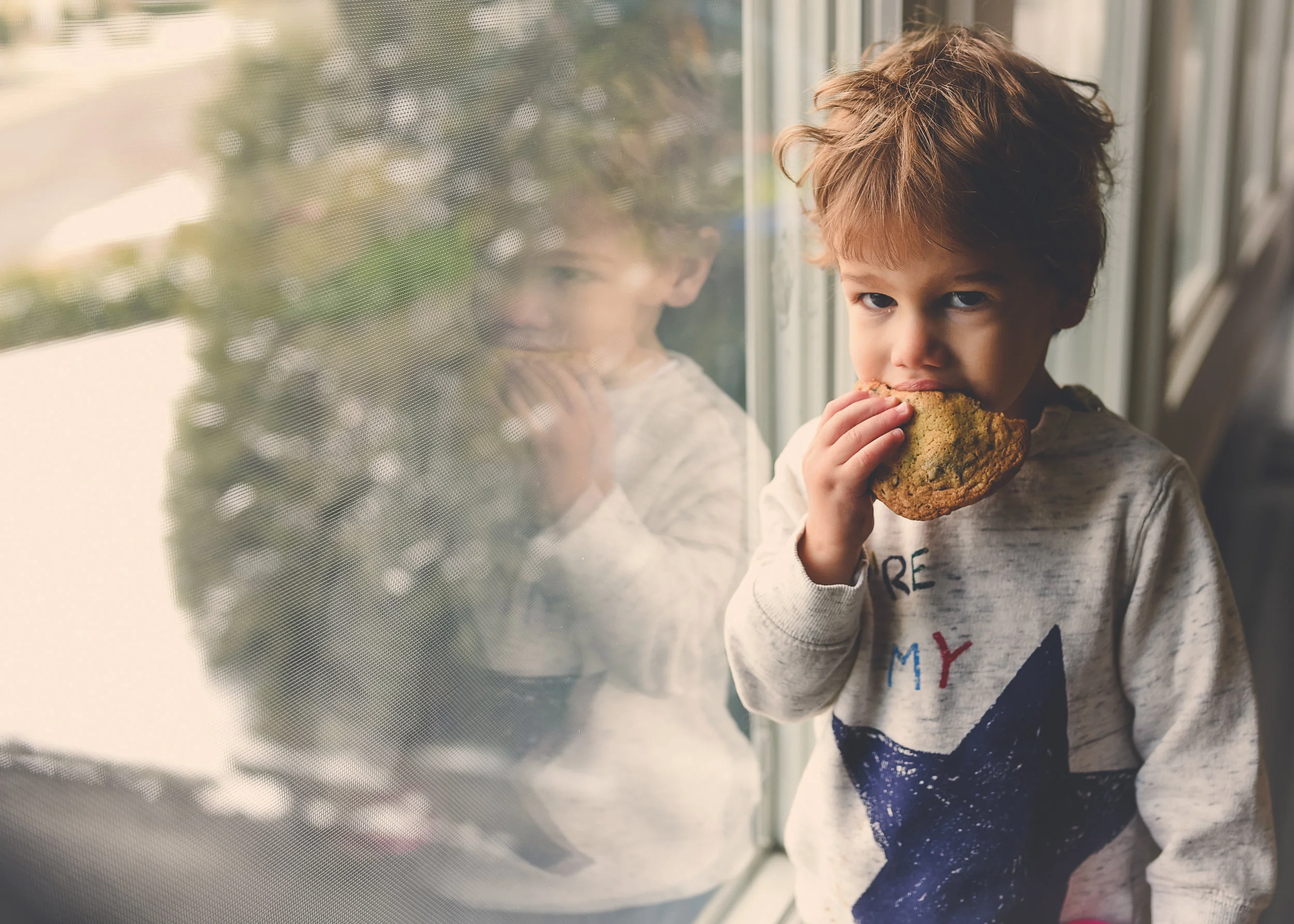 Graham cookie Print (1 of 1).jpg