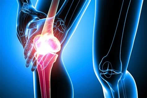 Dinner with the Doctors: Inflammation