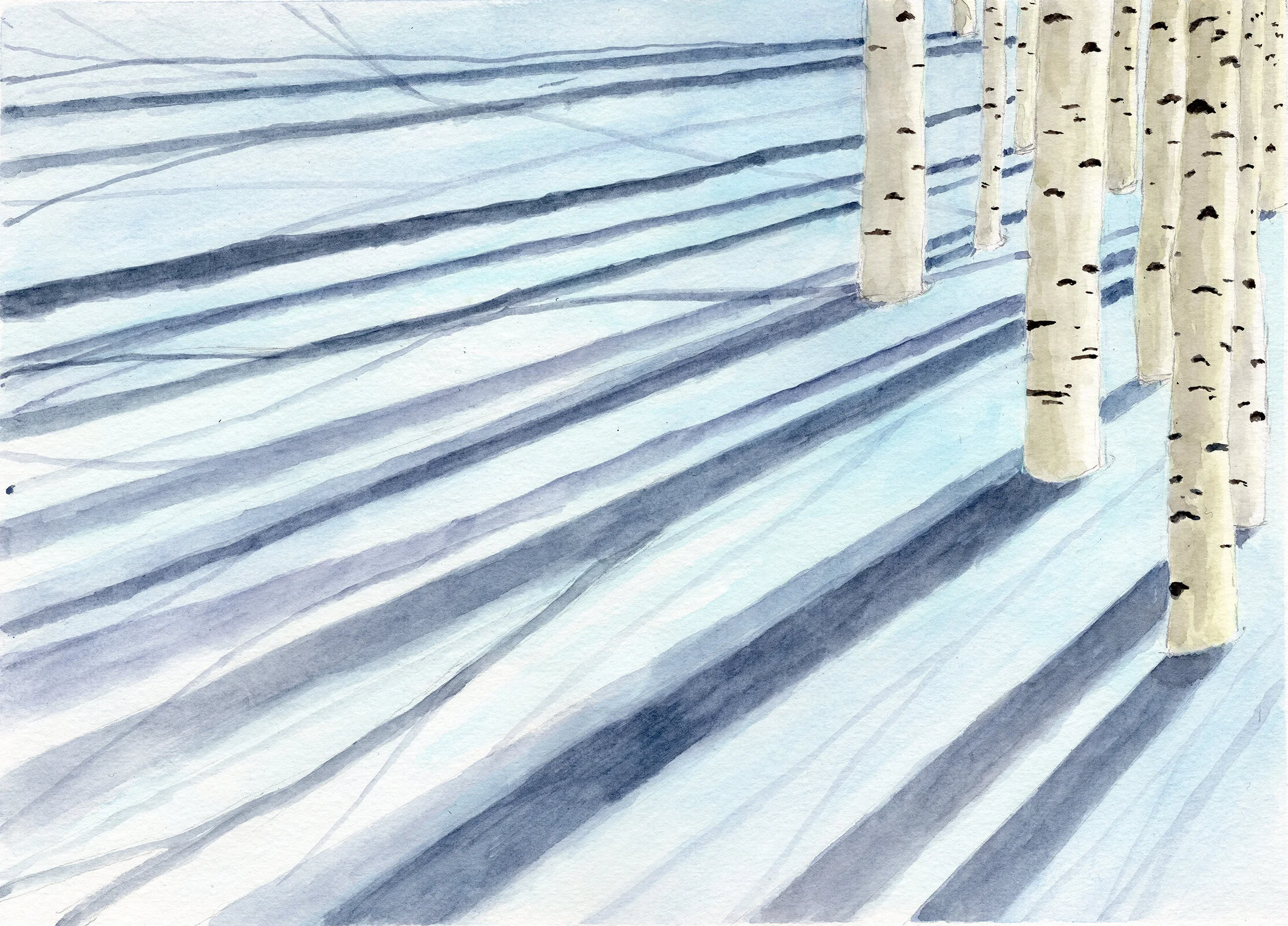 Birch Shadows_Nate Richardson_2.19(small).jpg
